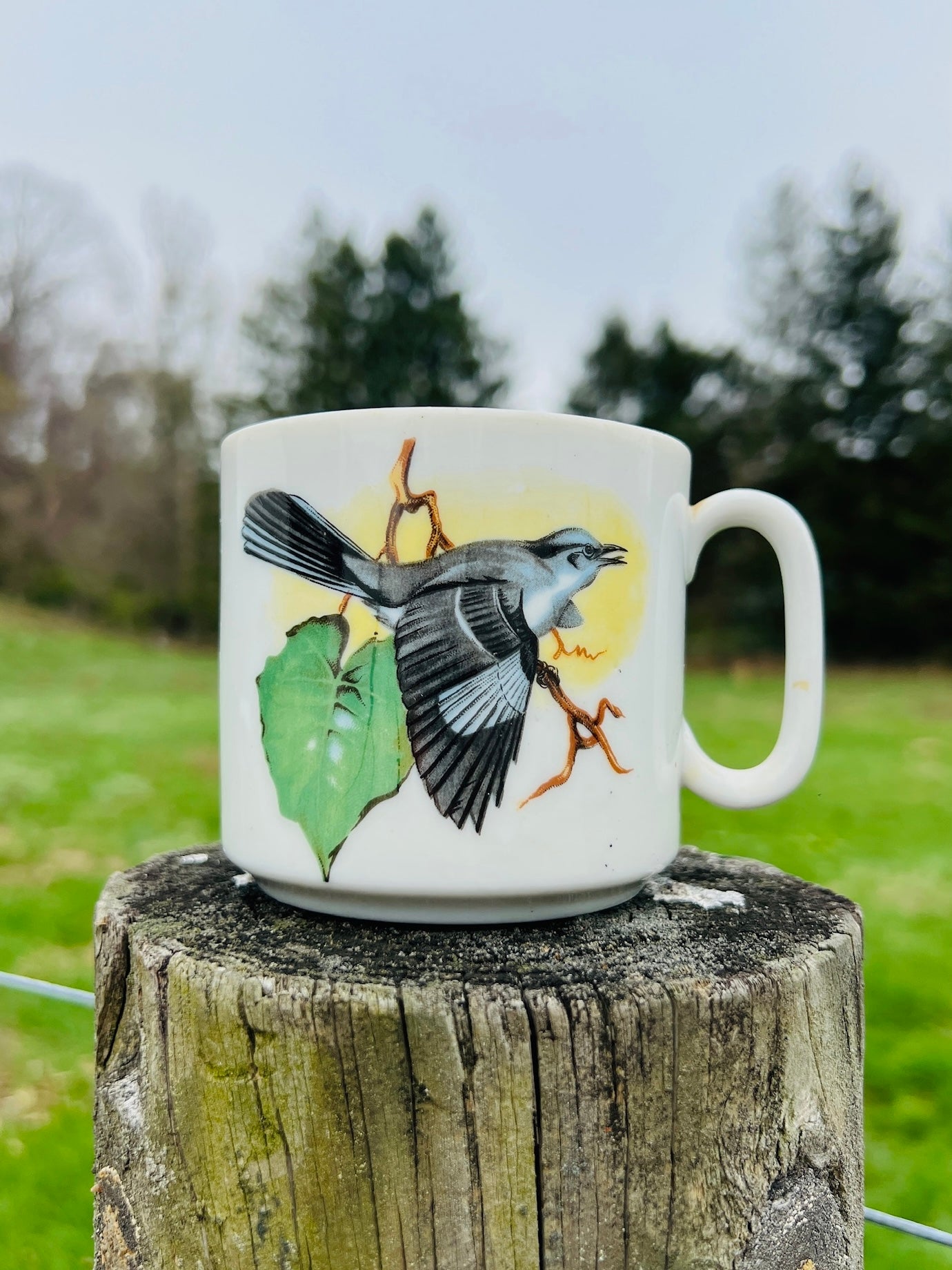 Vintage 1960s Ceramic Mocking Bird Coffee Mug