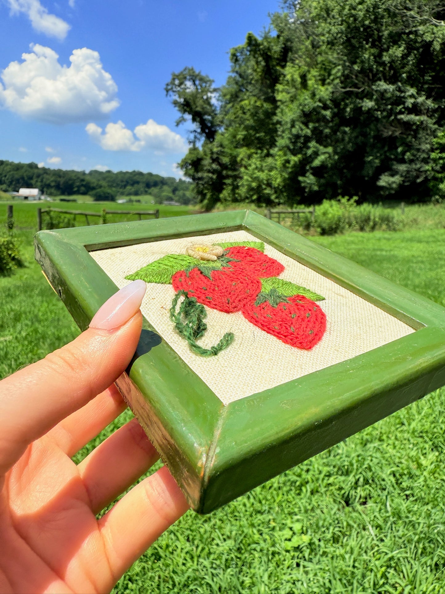 Vintage 1970s Kitchen Cross Stitch Mini Art: Strawberry