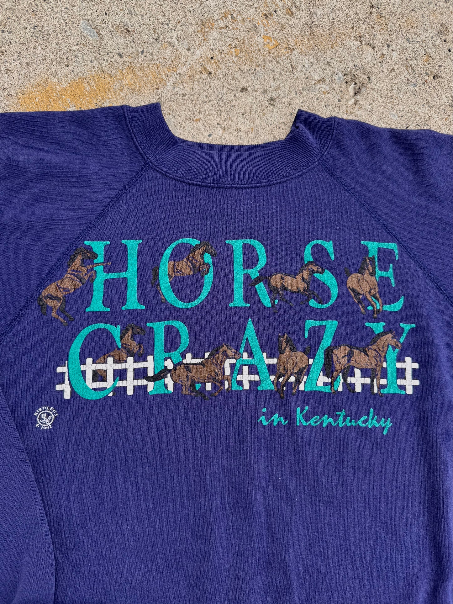 Vintage 1992 "Horse Crazy in Kentucky” Purple Raglan Sweatshirt | Large