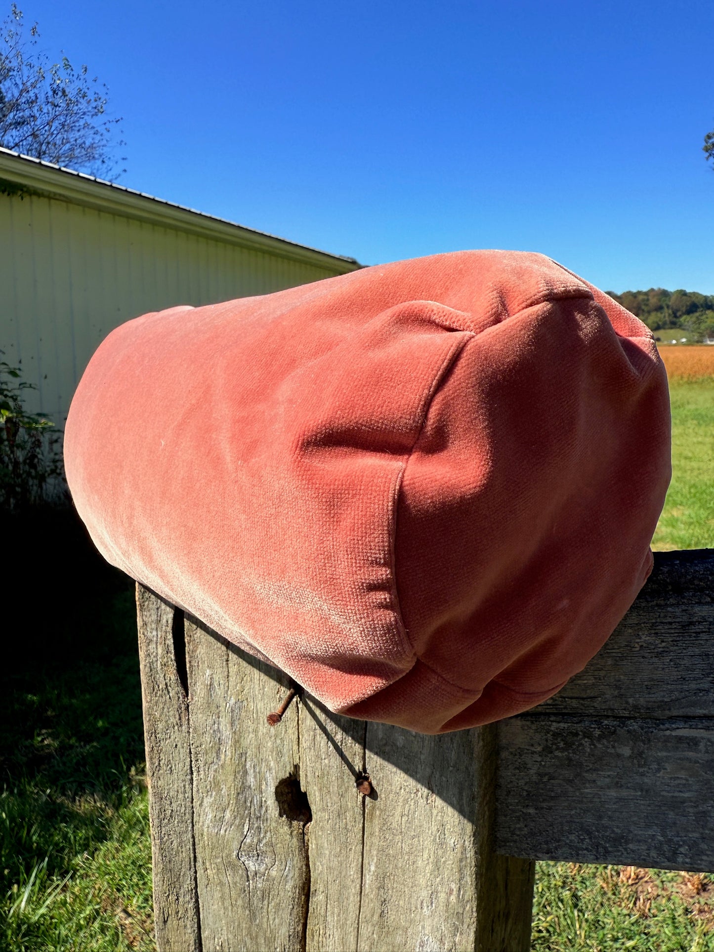 Vintage 1950s Pink Velvet Regency-Style Throw Pillow