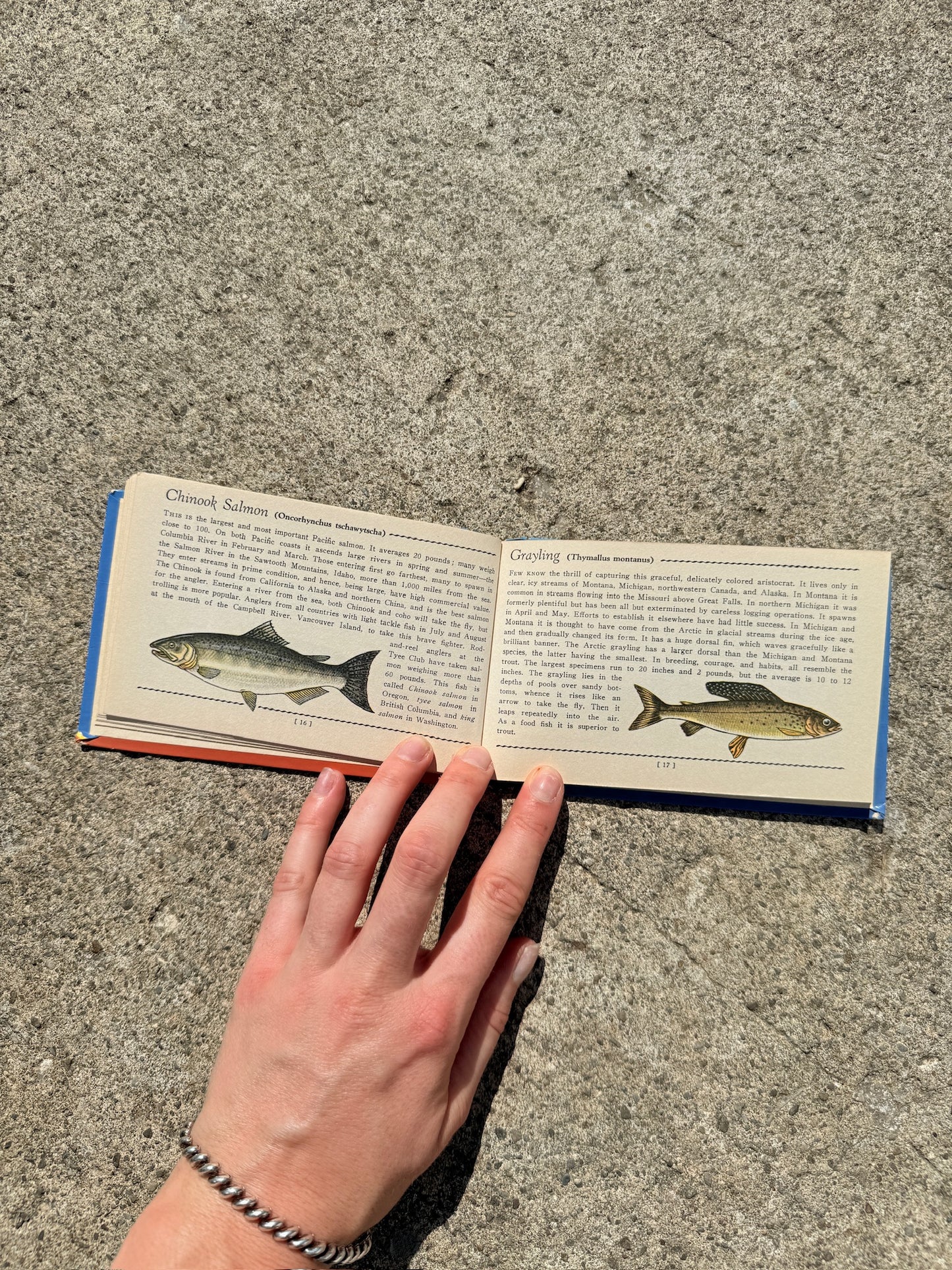 Vintage 1930s Fresh Water Fish Mini Guide Book
