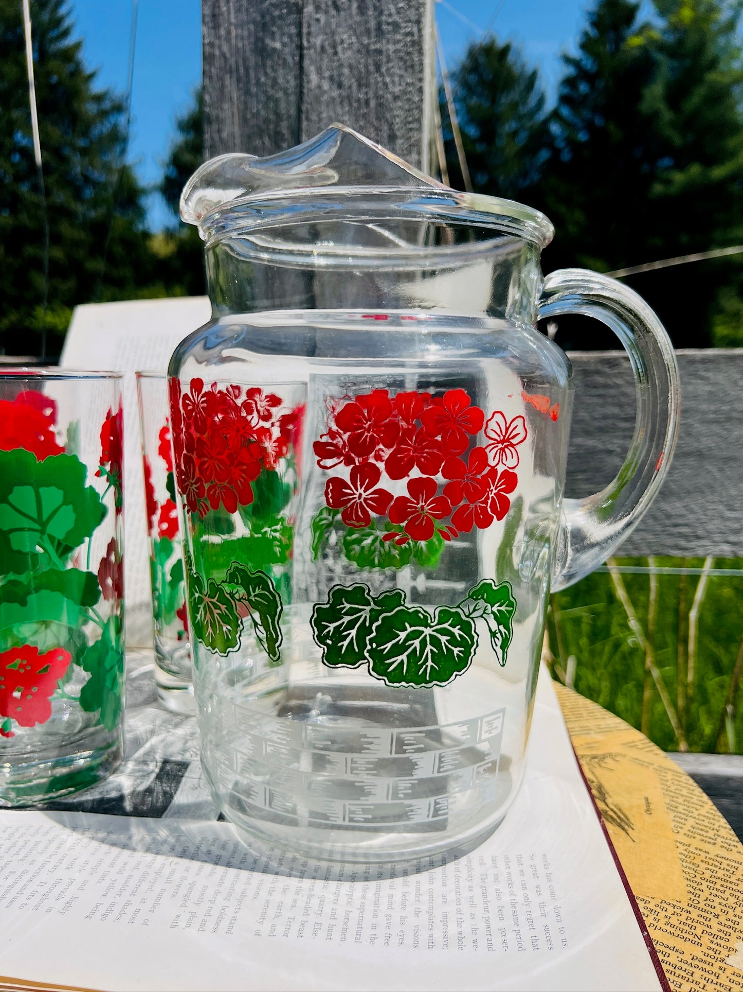 Vintage 1960s Avon "Summer Fantasy" Red Geranium Pitcher & Tumbler Set