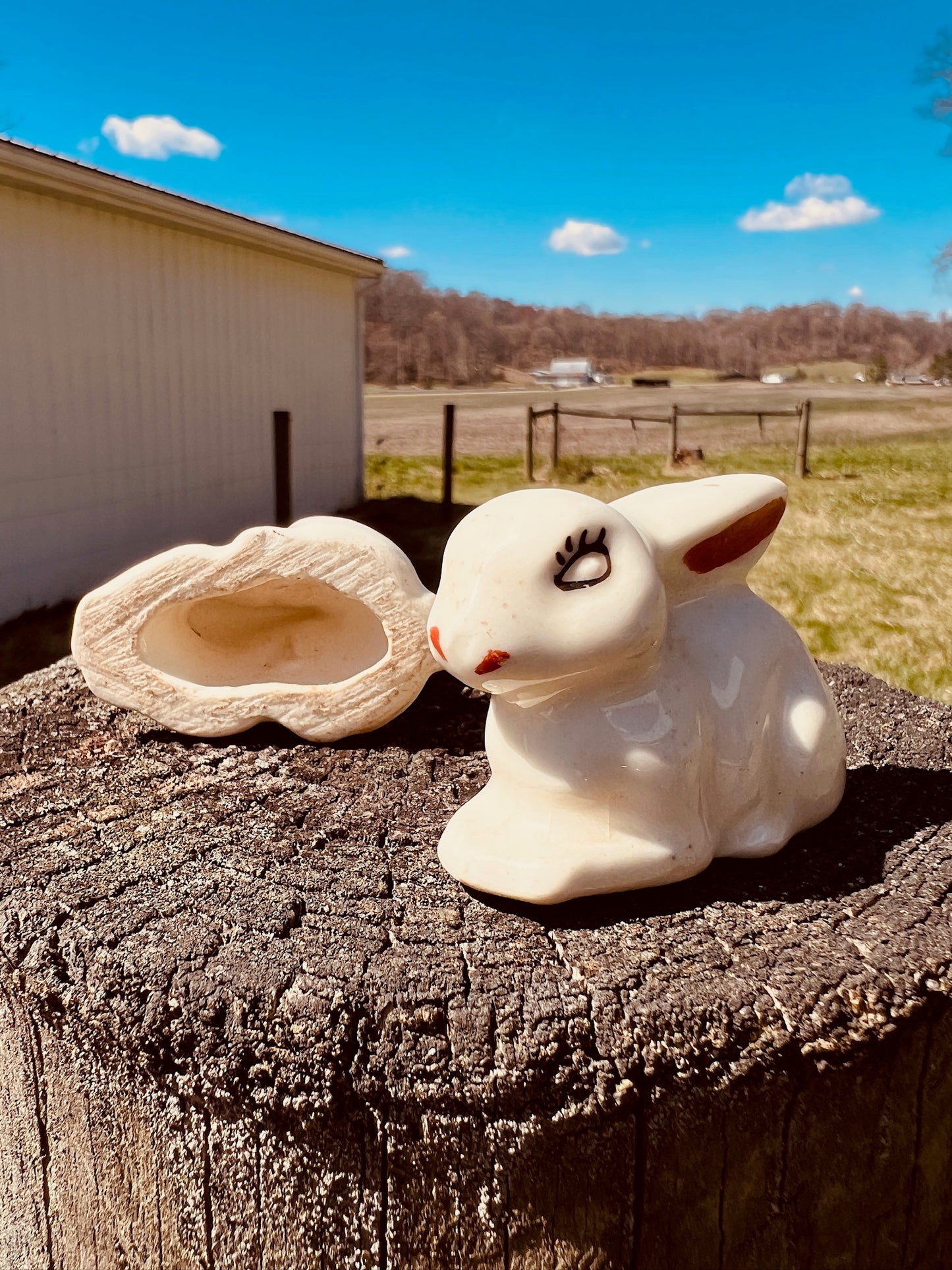 Vintage 1950s MCM Ceramic Rabbit Figurines | Set of 2