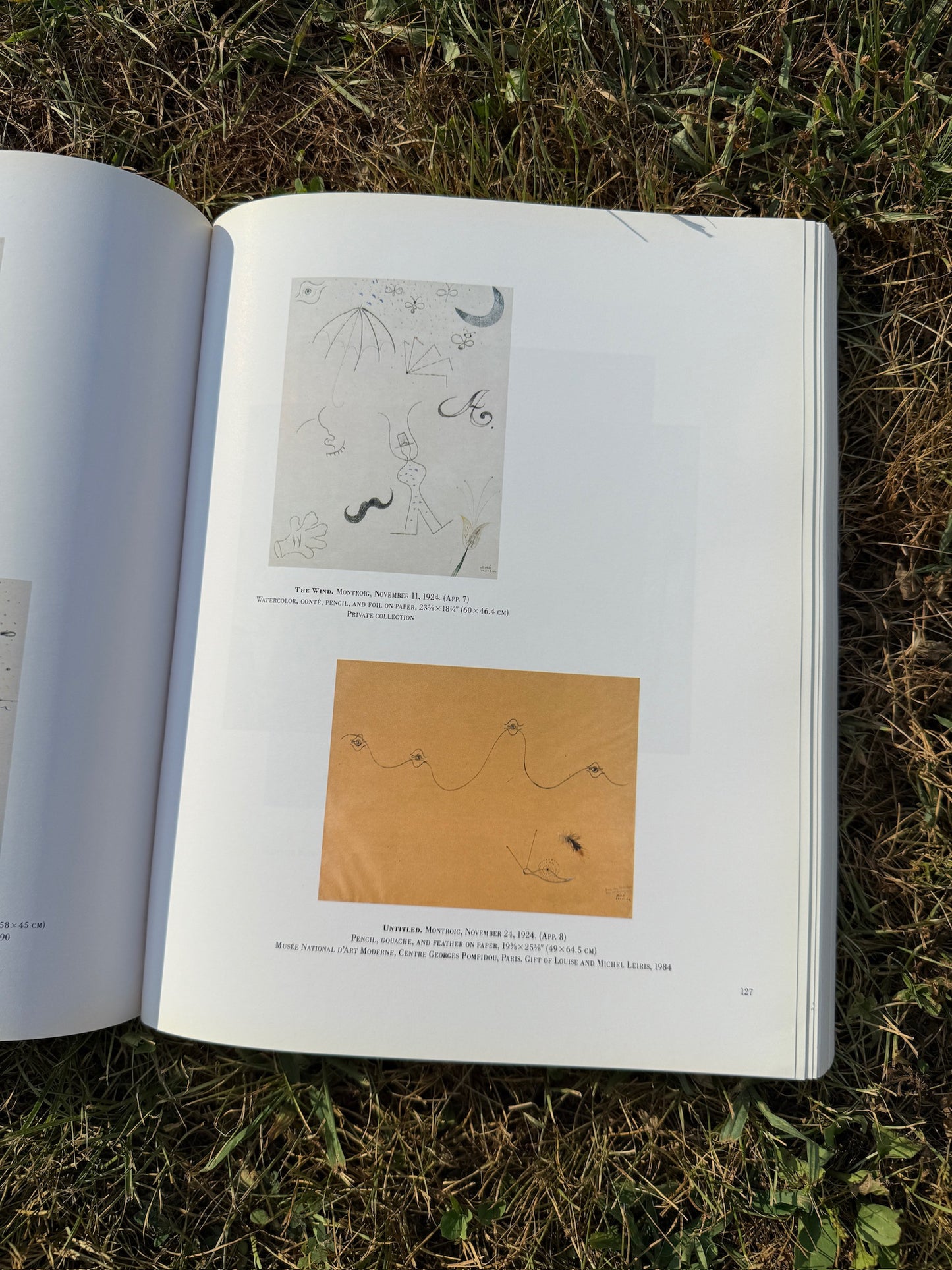 The Museum of Modern Art Joan Miró Exhibition Book