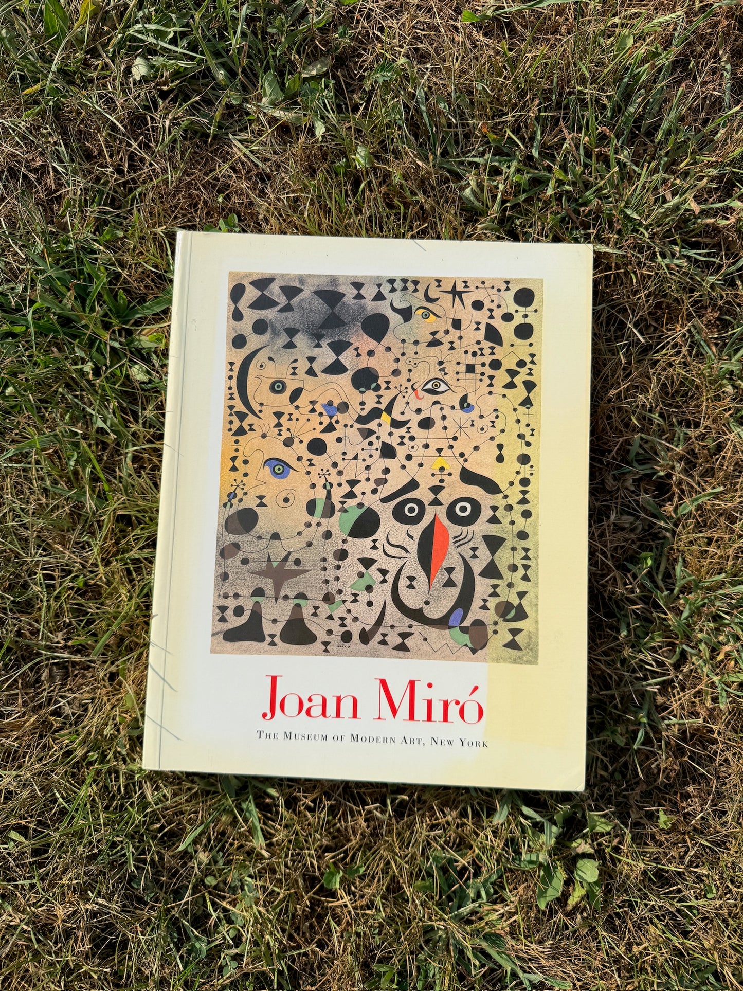 The Museum of Modern Art Joan Miró Exhibition Book