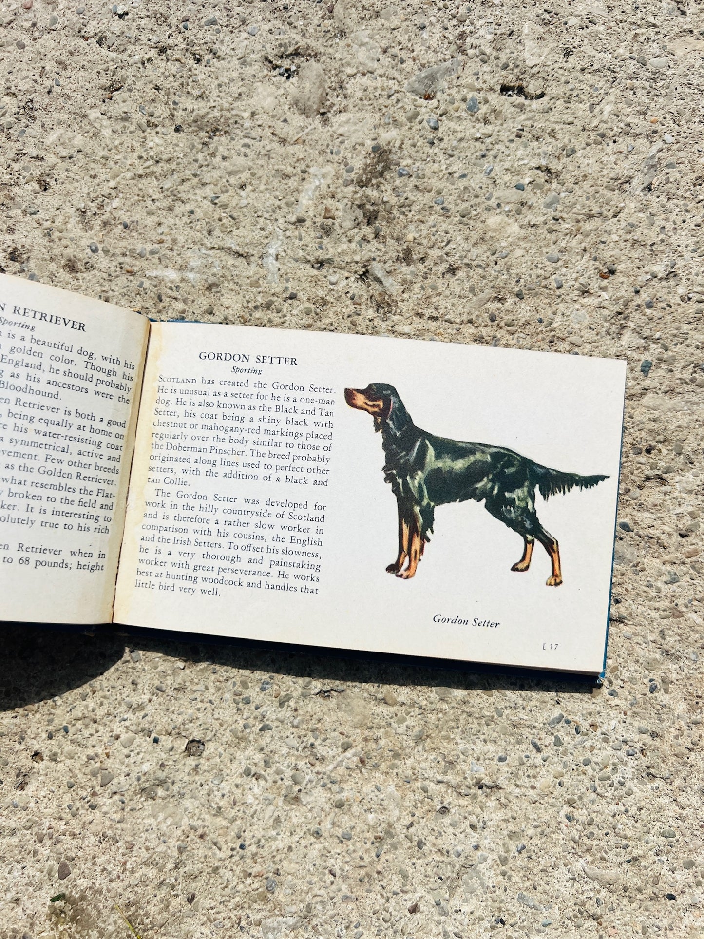 Vintage 1940s The Blue Book of Dogs
