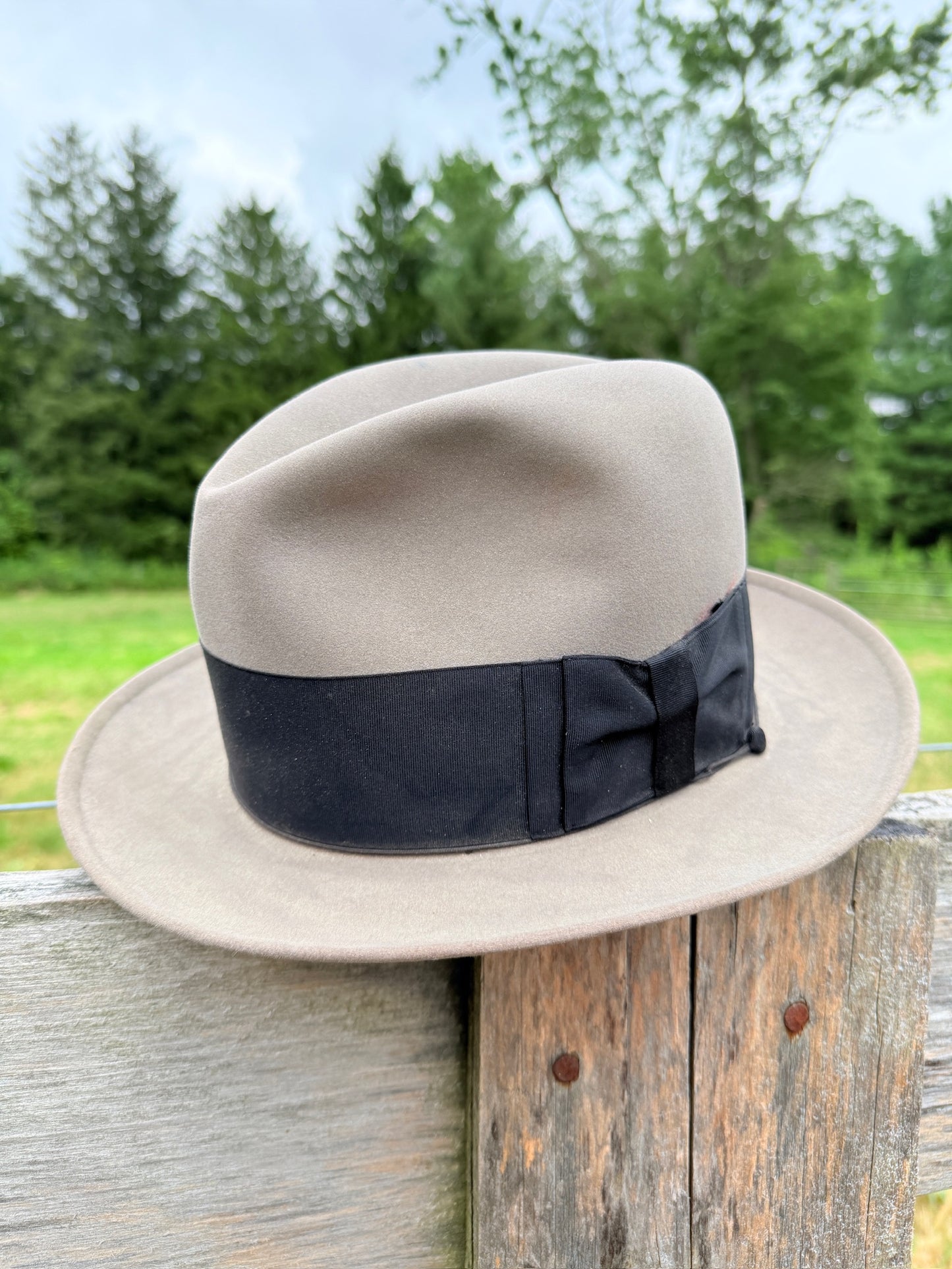 Vintage 1950s Resistol Grey Kitten Finish Beaver Fedora Hat