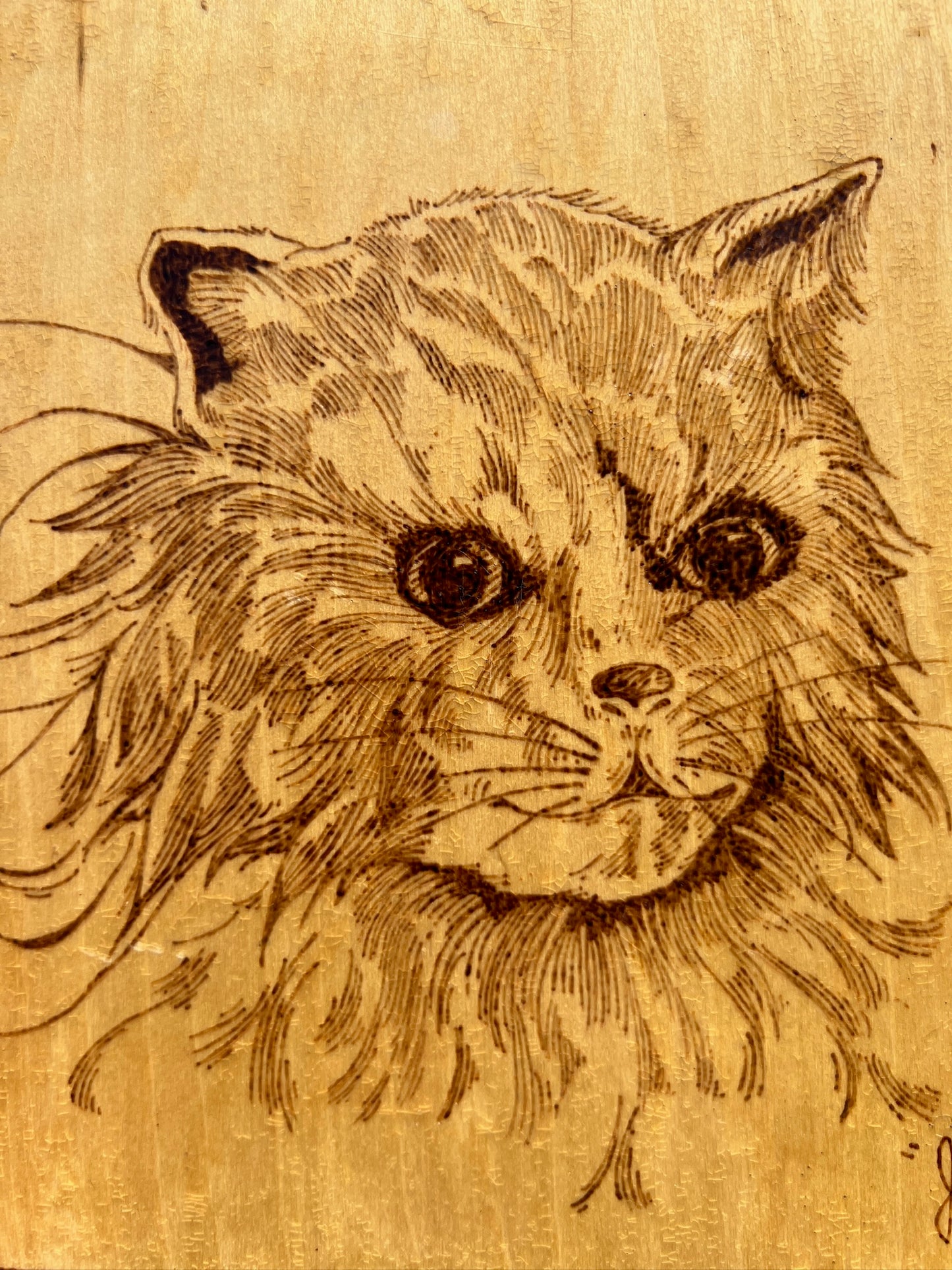 Vintage 1960s Pyrography "Jiggs" Cat Wall Artwork