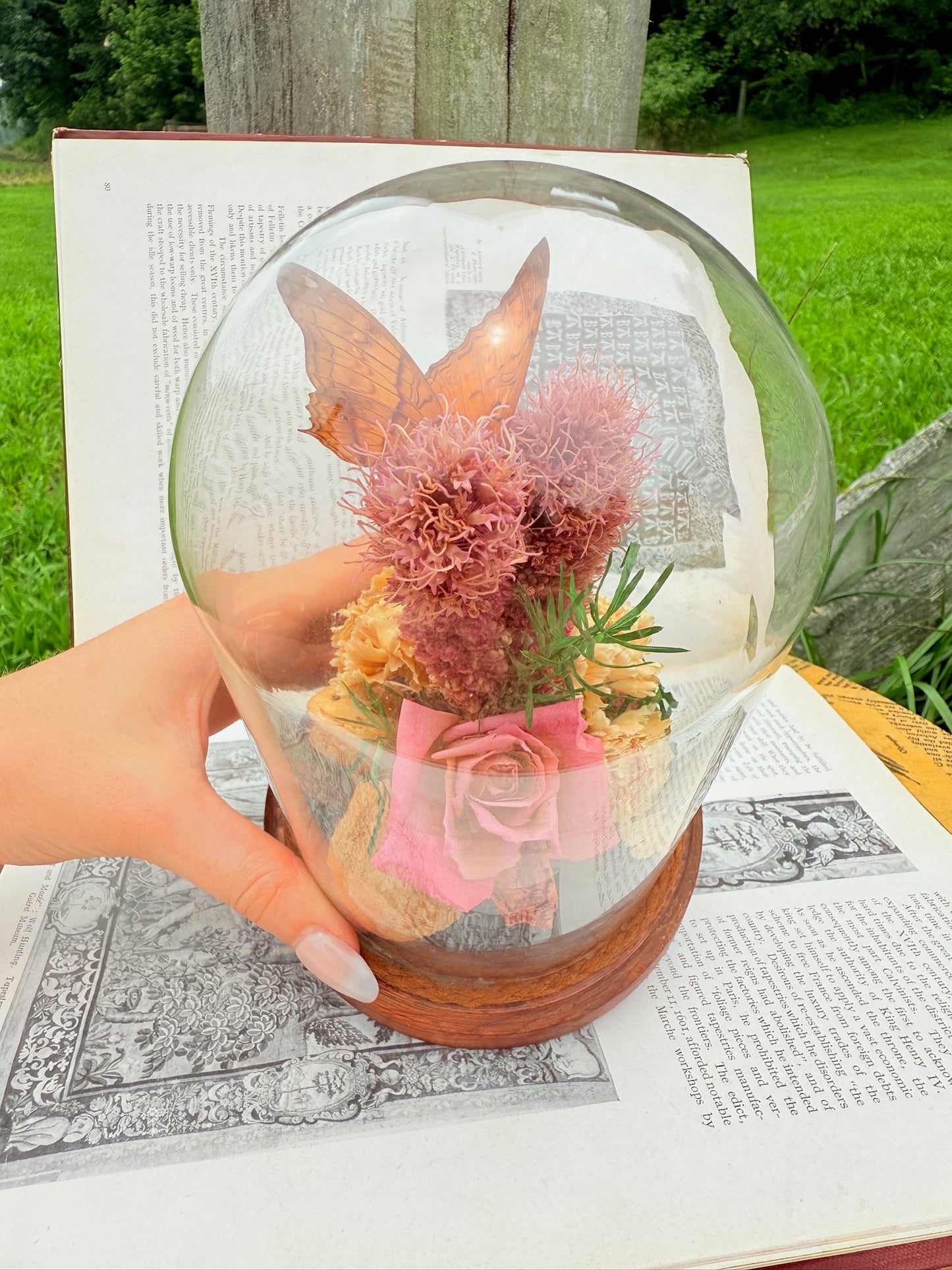 Vintage 1970s Preserved Butterfly & Dried Florals Glass Cloche Display