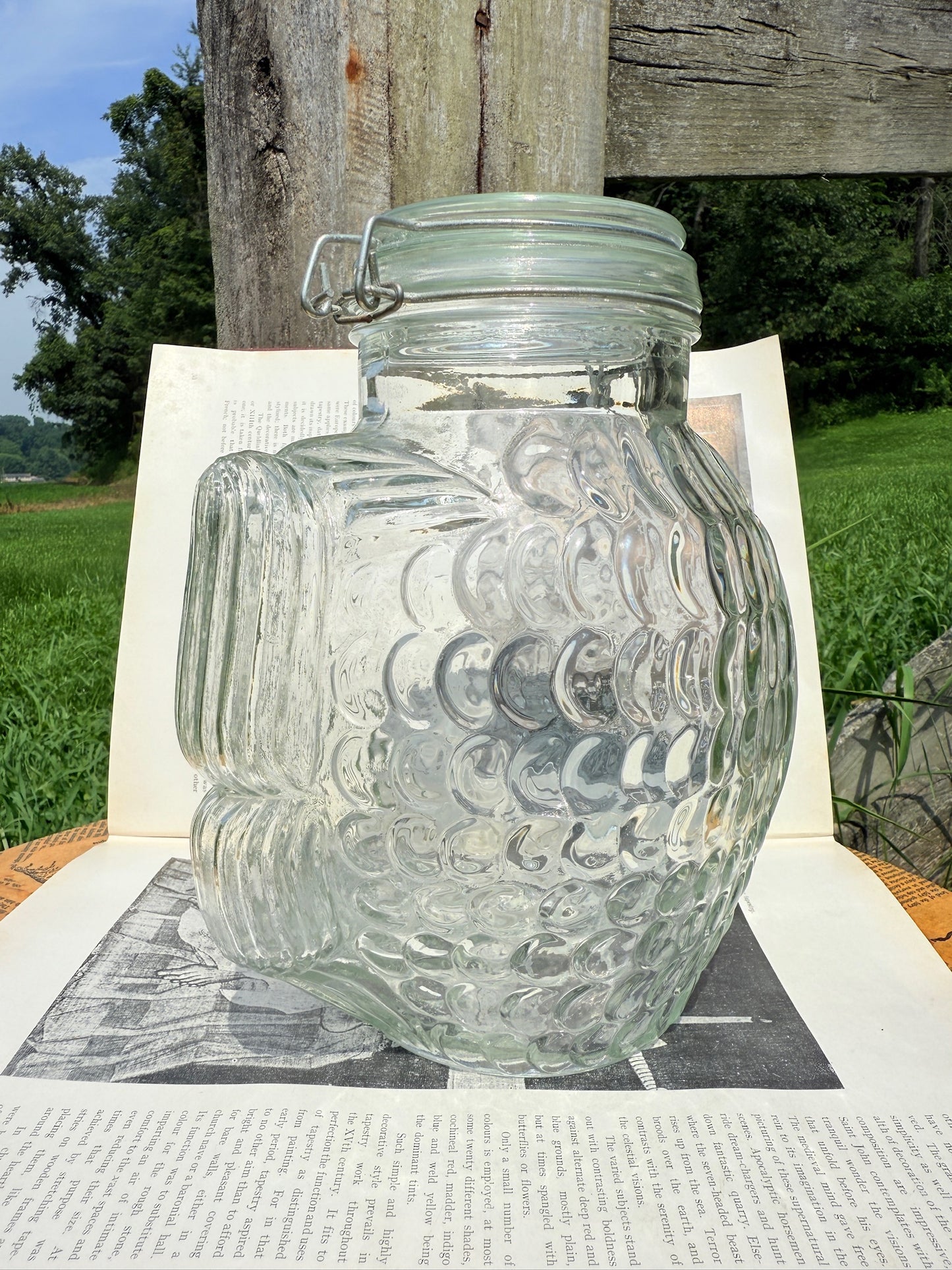 Vintage 1970s Fish Shaped Glass Canister