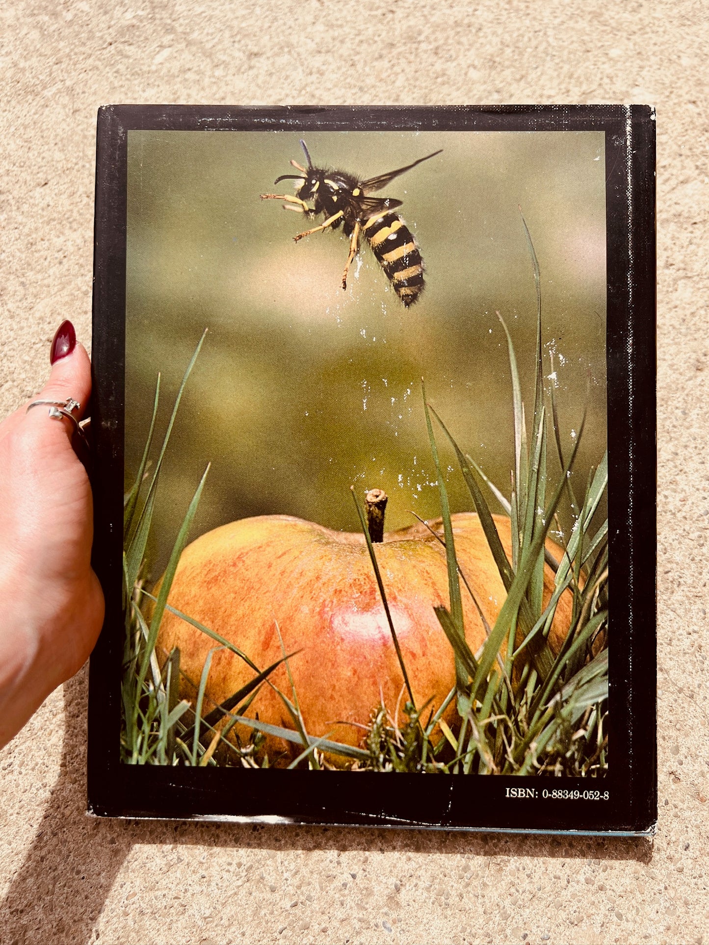 Vintage Borne on the Wind Hardcover Book
