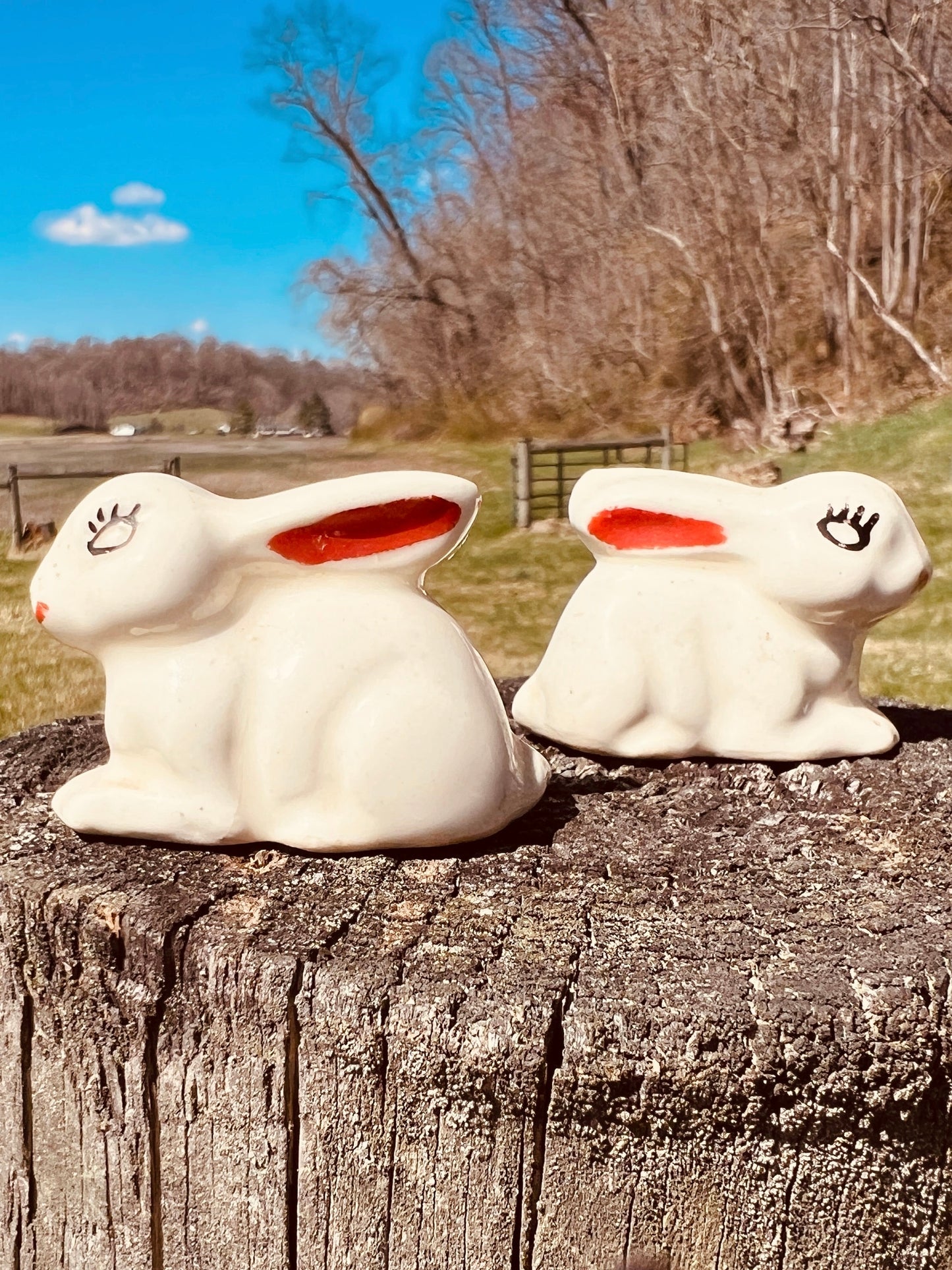Vintage 1950s MCM Ceramic Rabbit Figurines | Set of 2