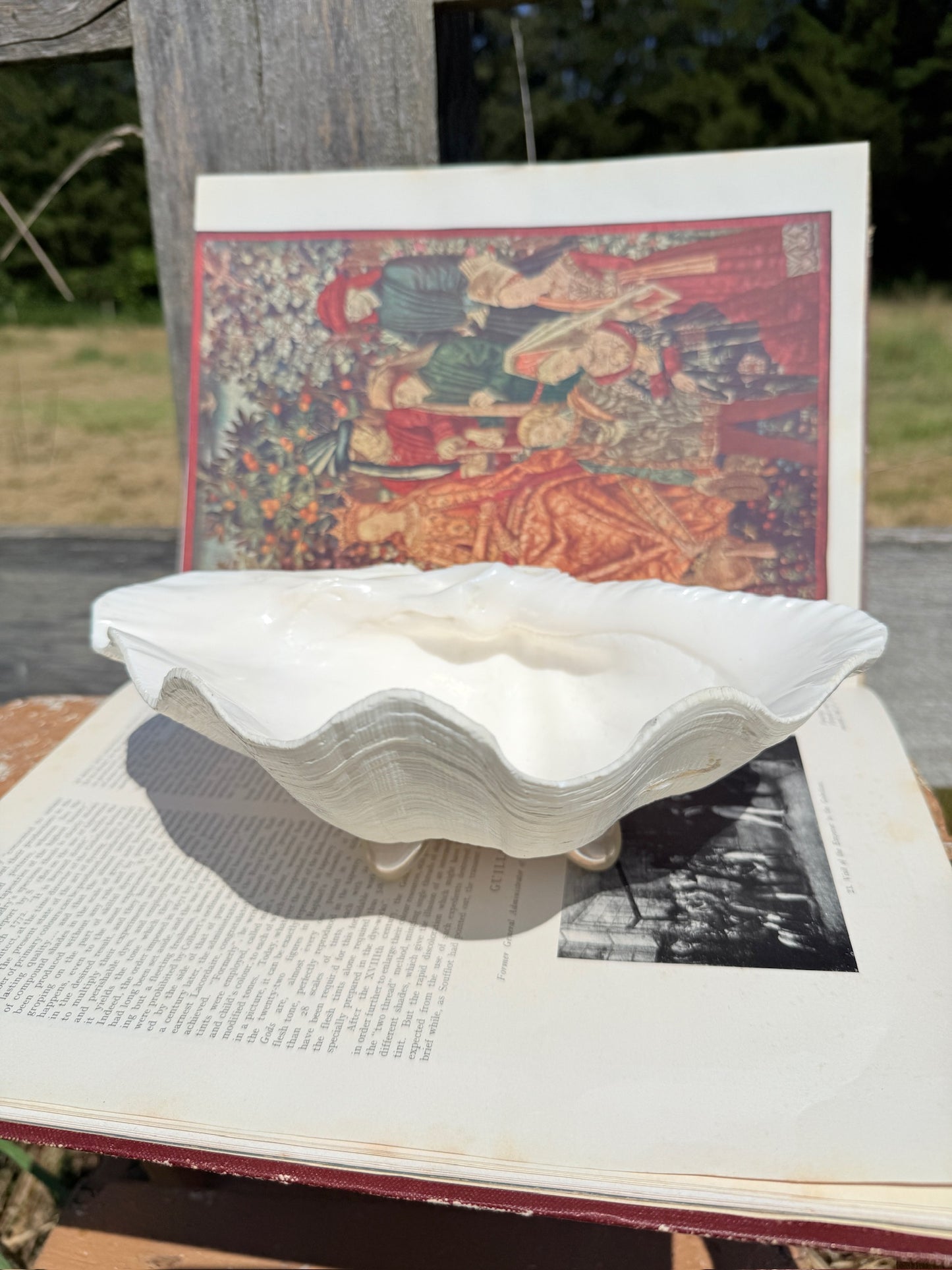 Vintage 1970s Genuine Clam Shell Footed Dish