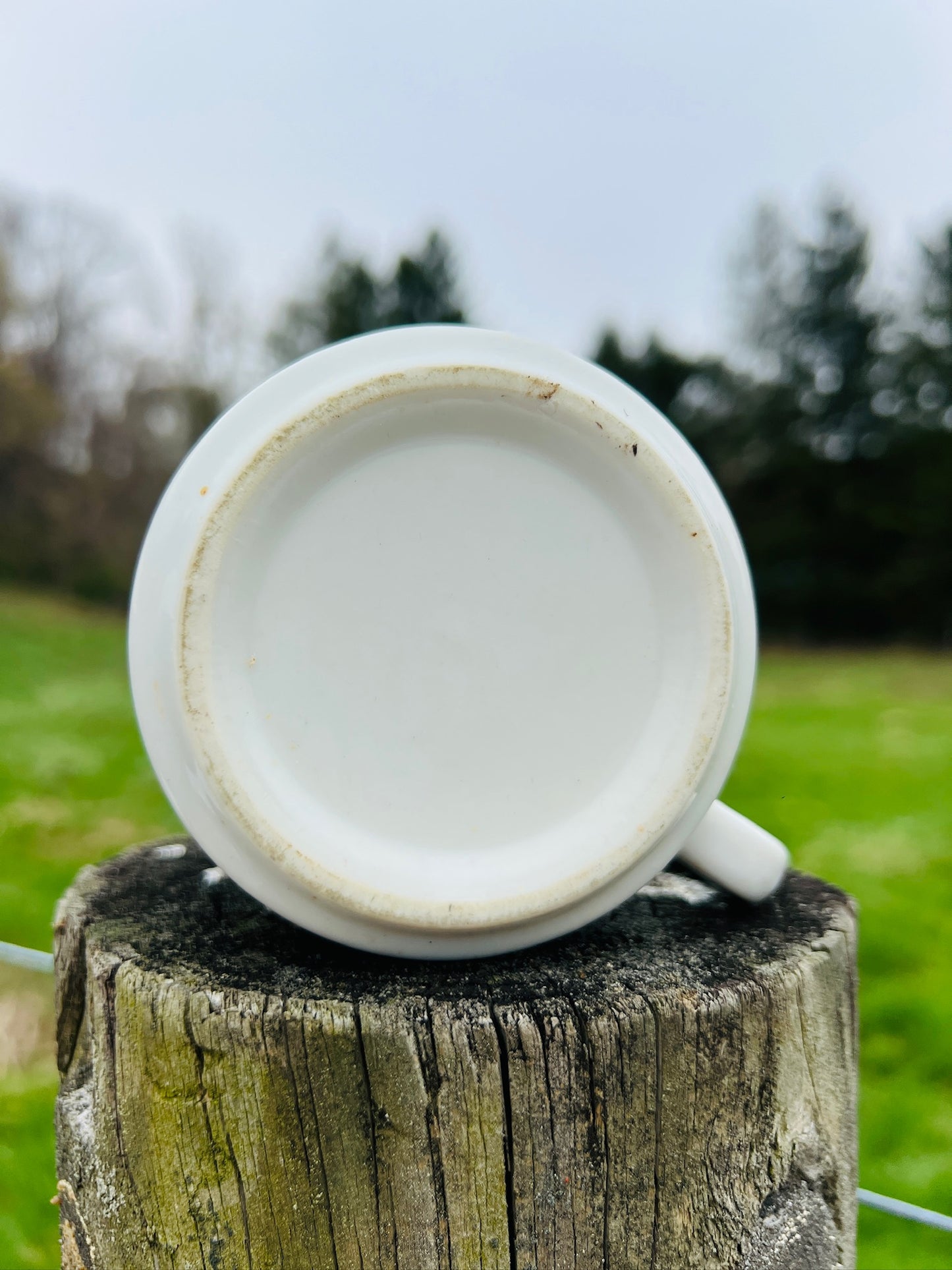 Vintage 1960s Ceramic Mocking Bird Coffee Mug