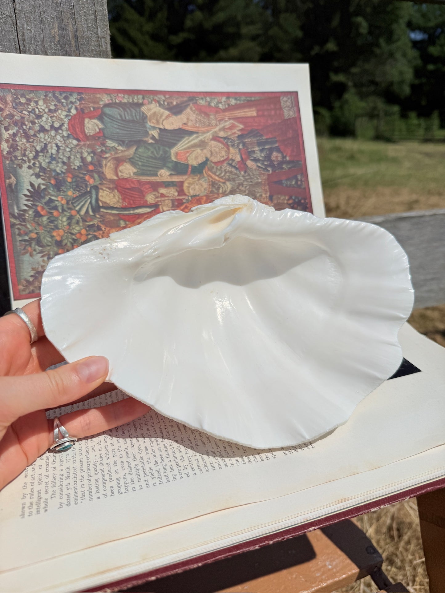 Vintage 1970s Genuine Clam Shell Footed Dish