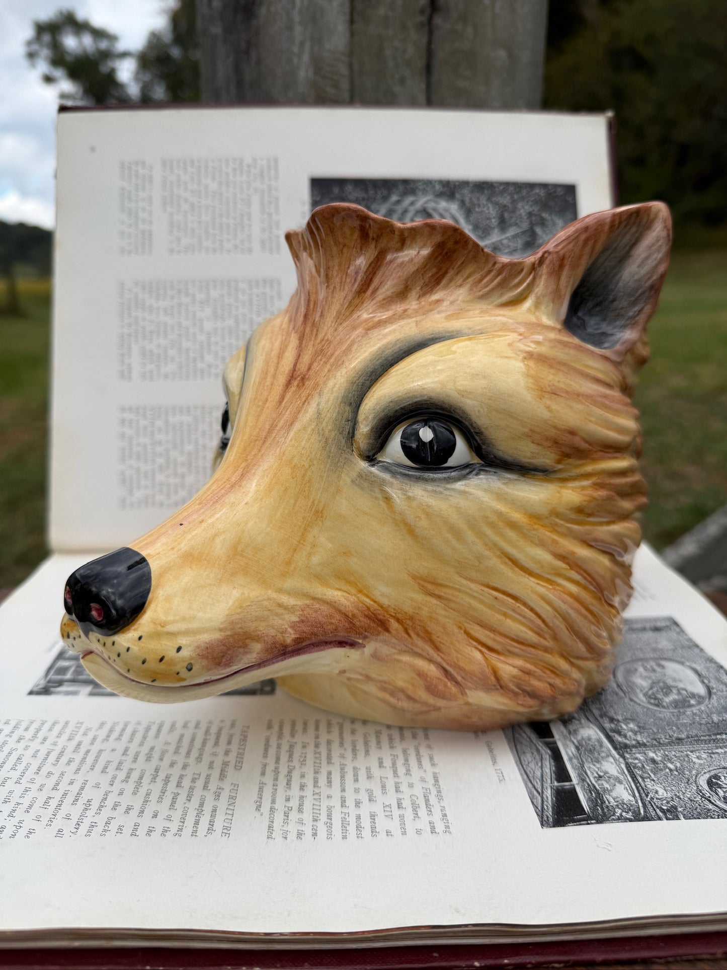 Chelsea House Ceramic Fox Head Planter