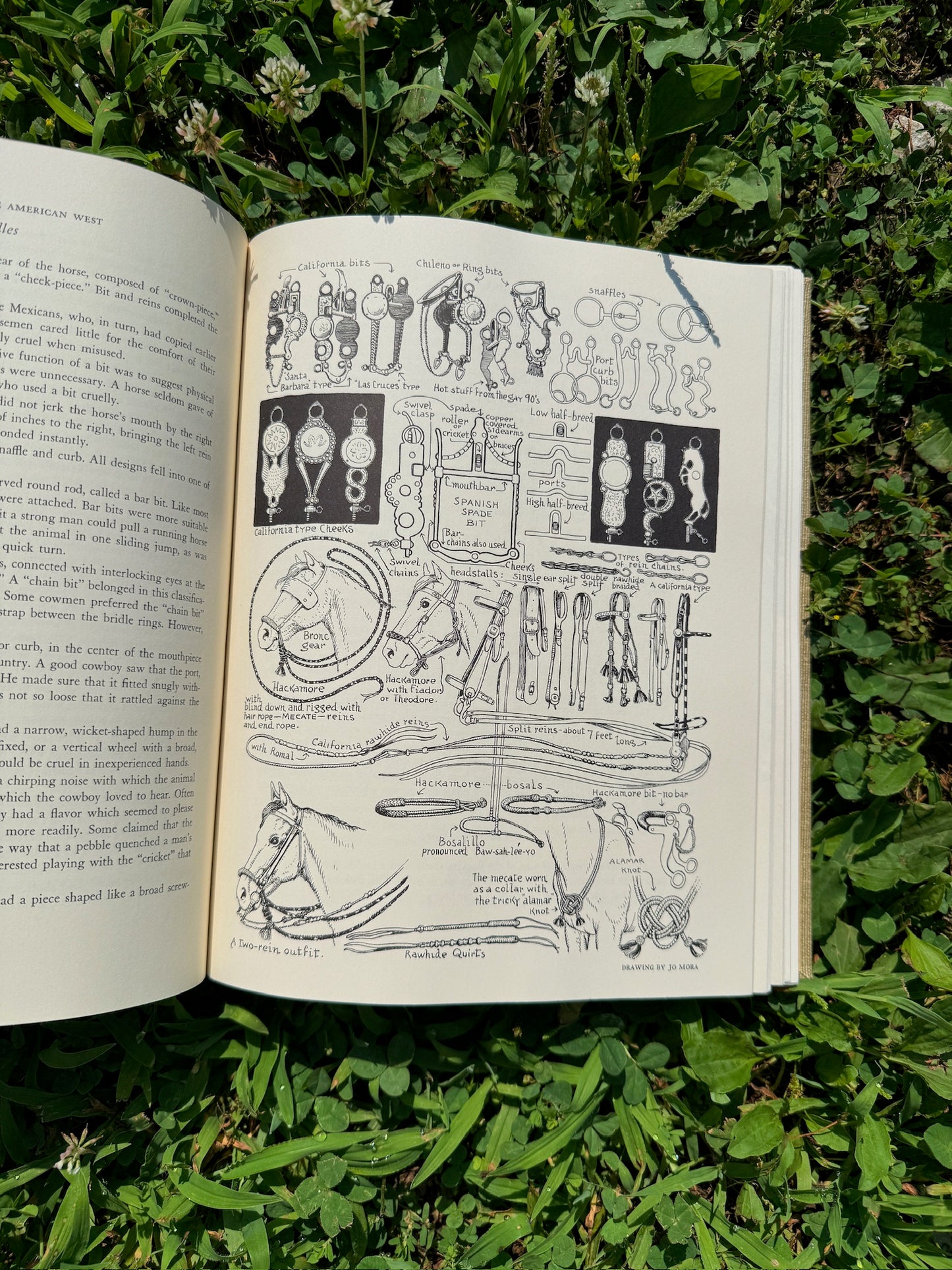 The Book of the American West