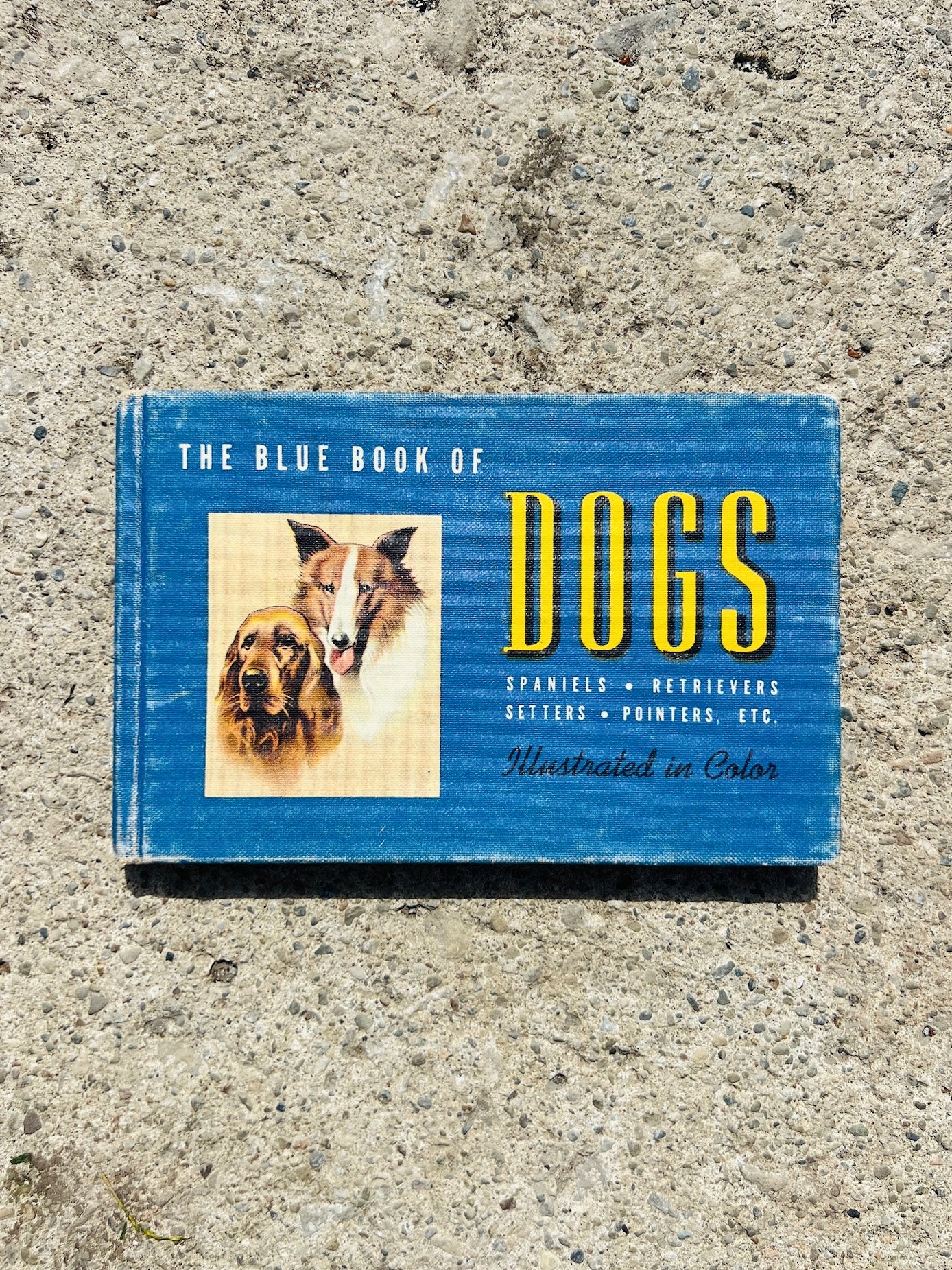 Vintage 1940s The Blue Book of Dogs