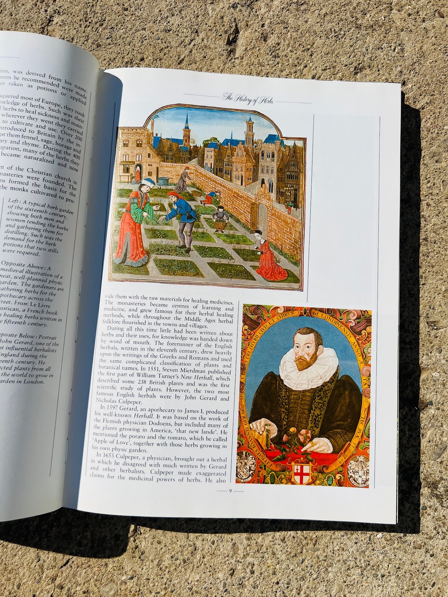 Vintage The Herb Book
