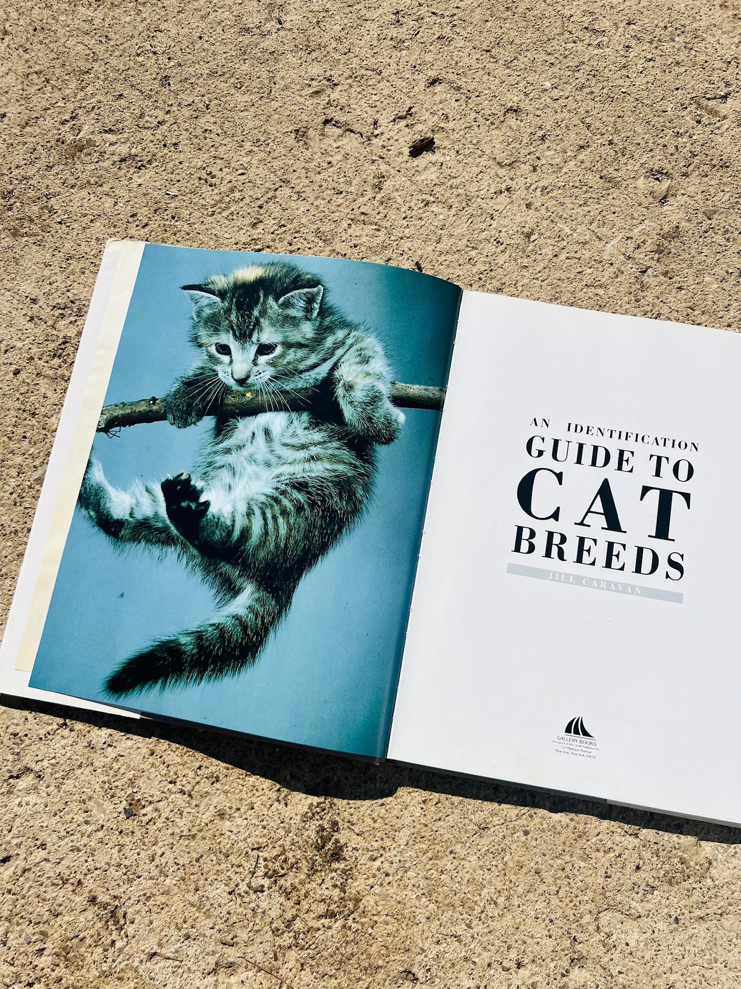 Vintage An Identification Guide to Cat Breeds Book