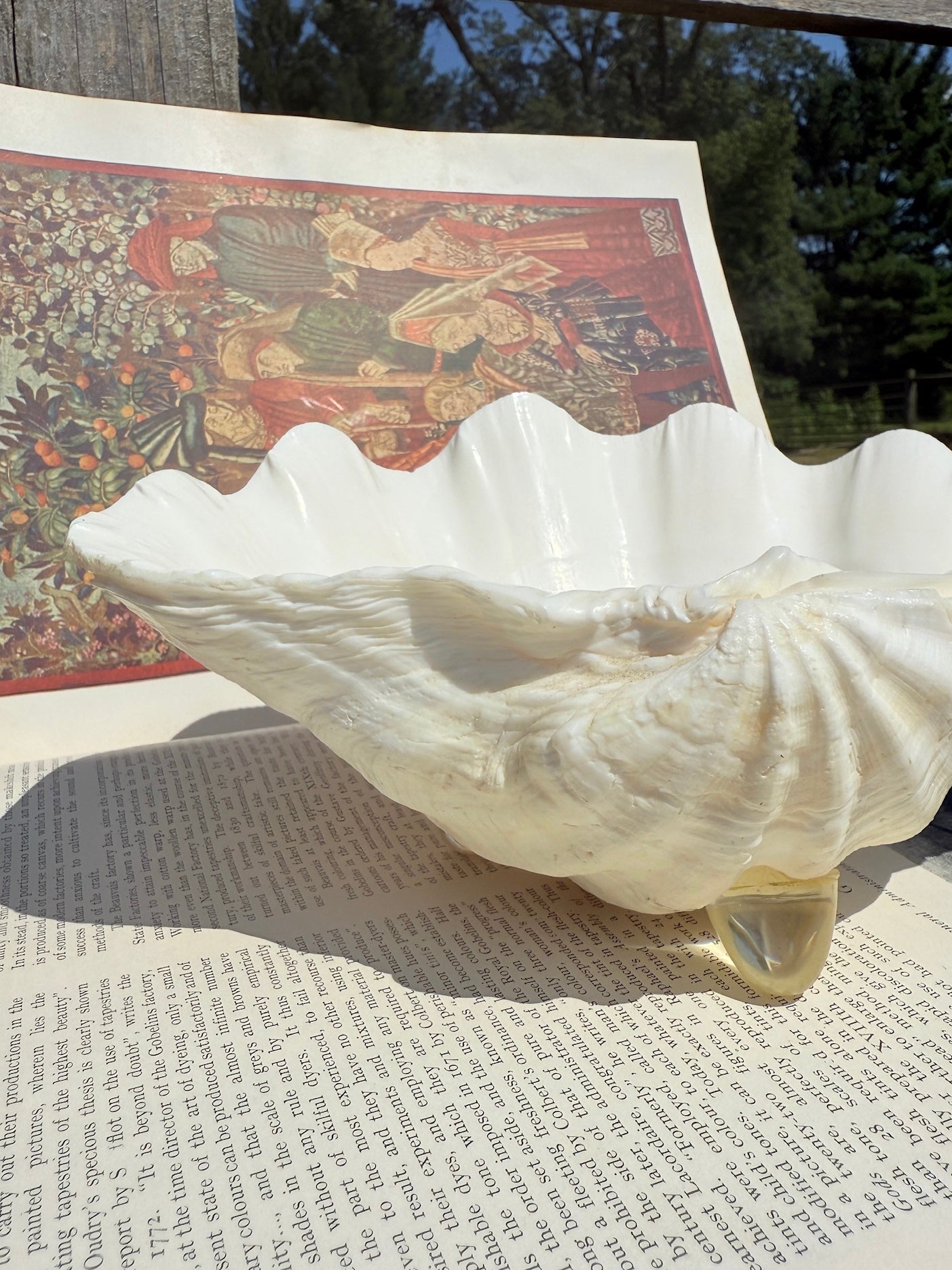 Vintage 1970s Genuine Clam Shell Footed Dish