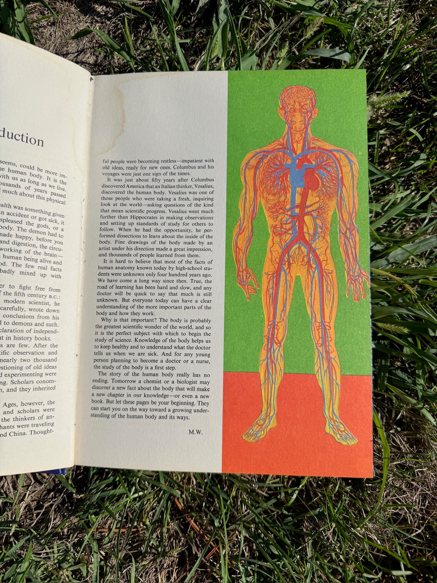 Vintage 1970s The Human Body Textbook