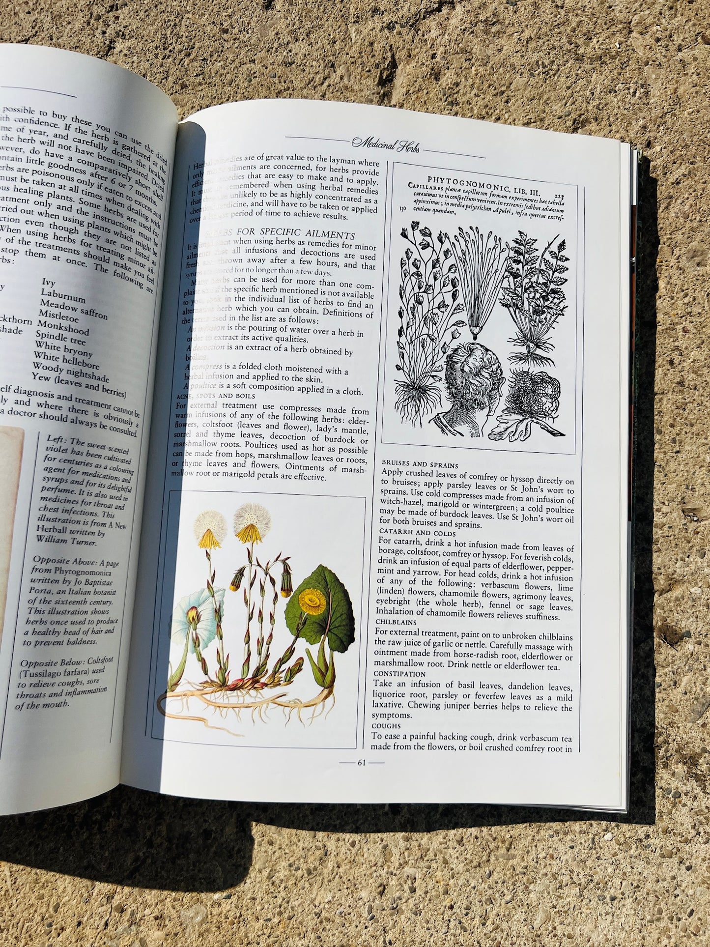 Vintage The Herb Book