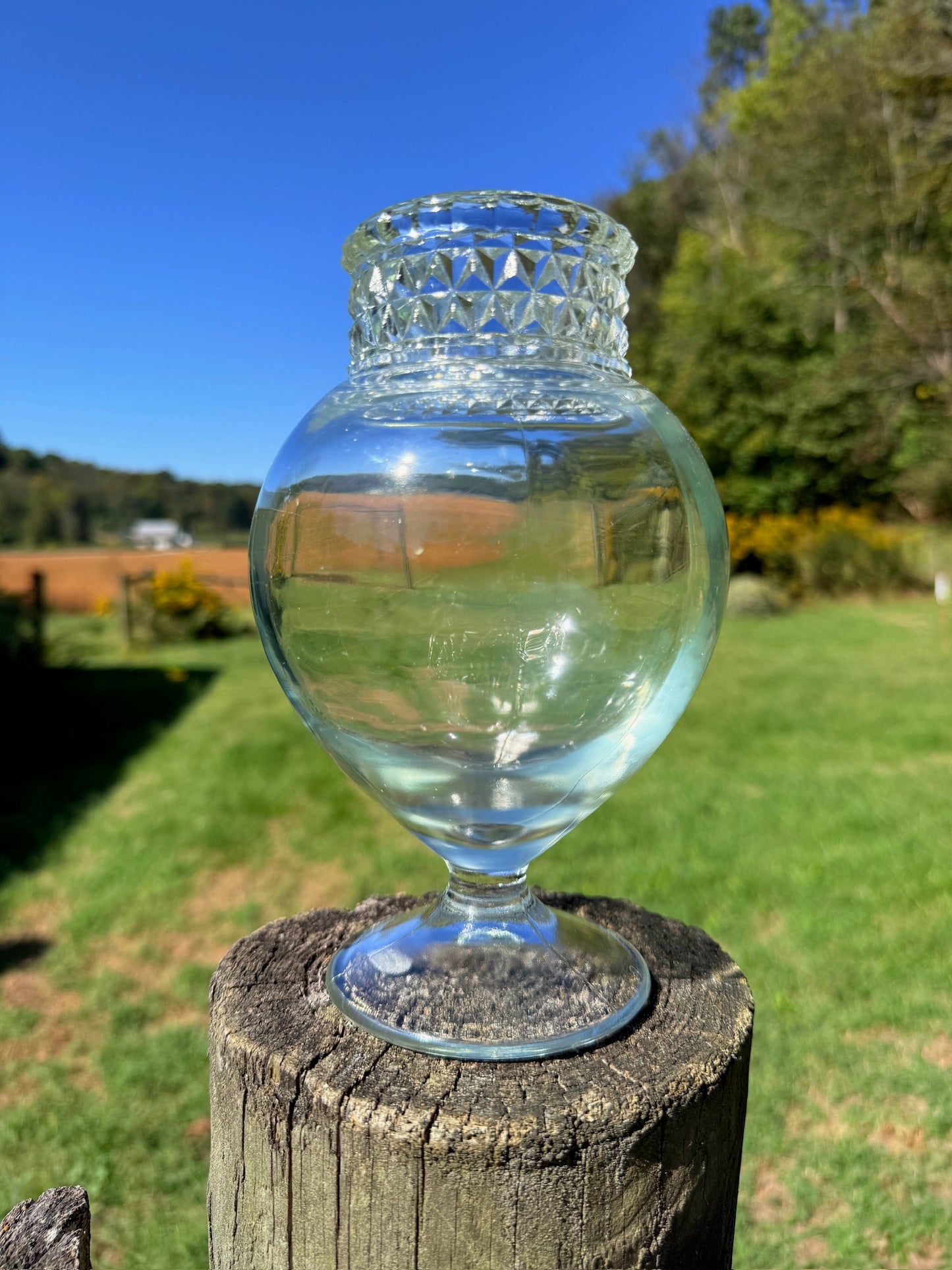 Vintage 1950s Tiffin Dakota Glass Apothecary Jar