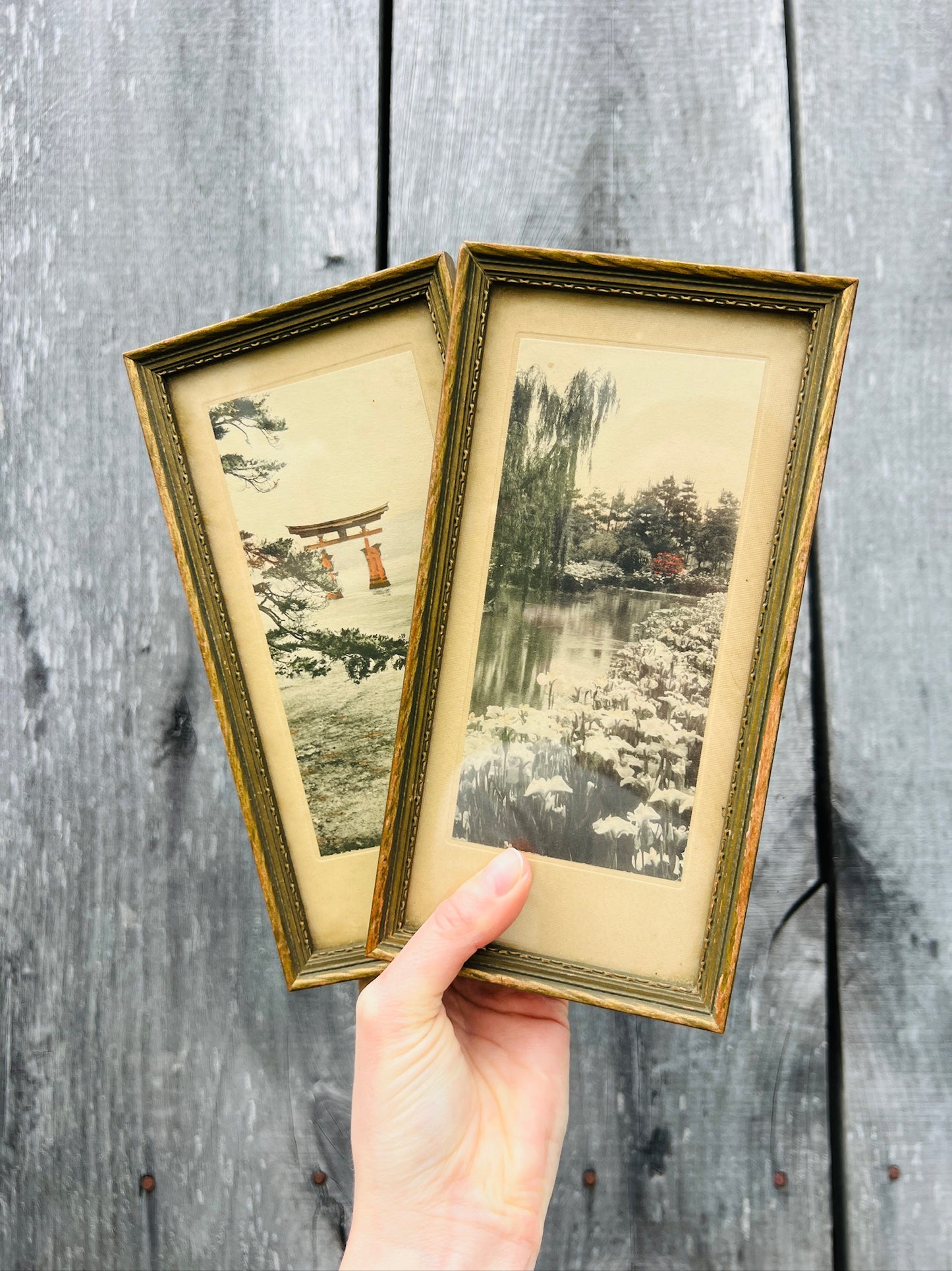 Vintage 1940s Framed Asian Garden Landscape Print Set