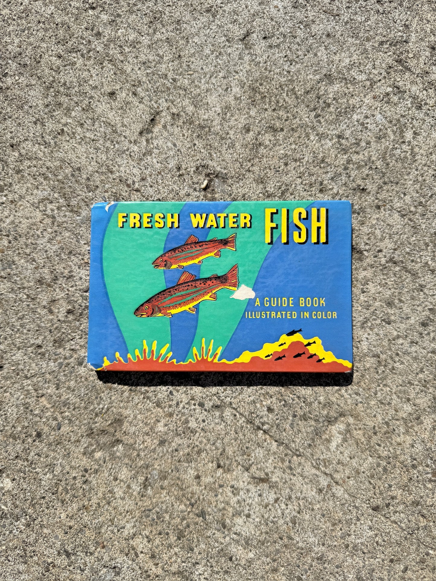 Vintage 1930s Fresh Water Fish Mini Guide Book