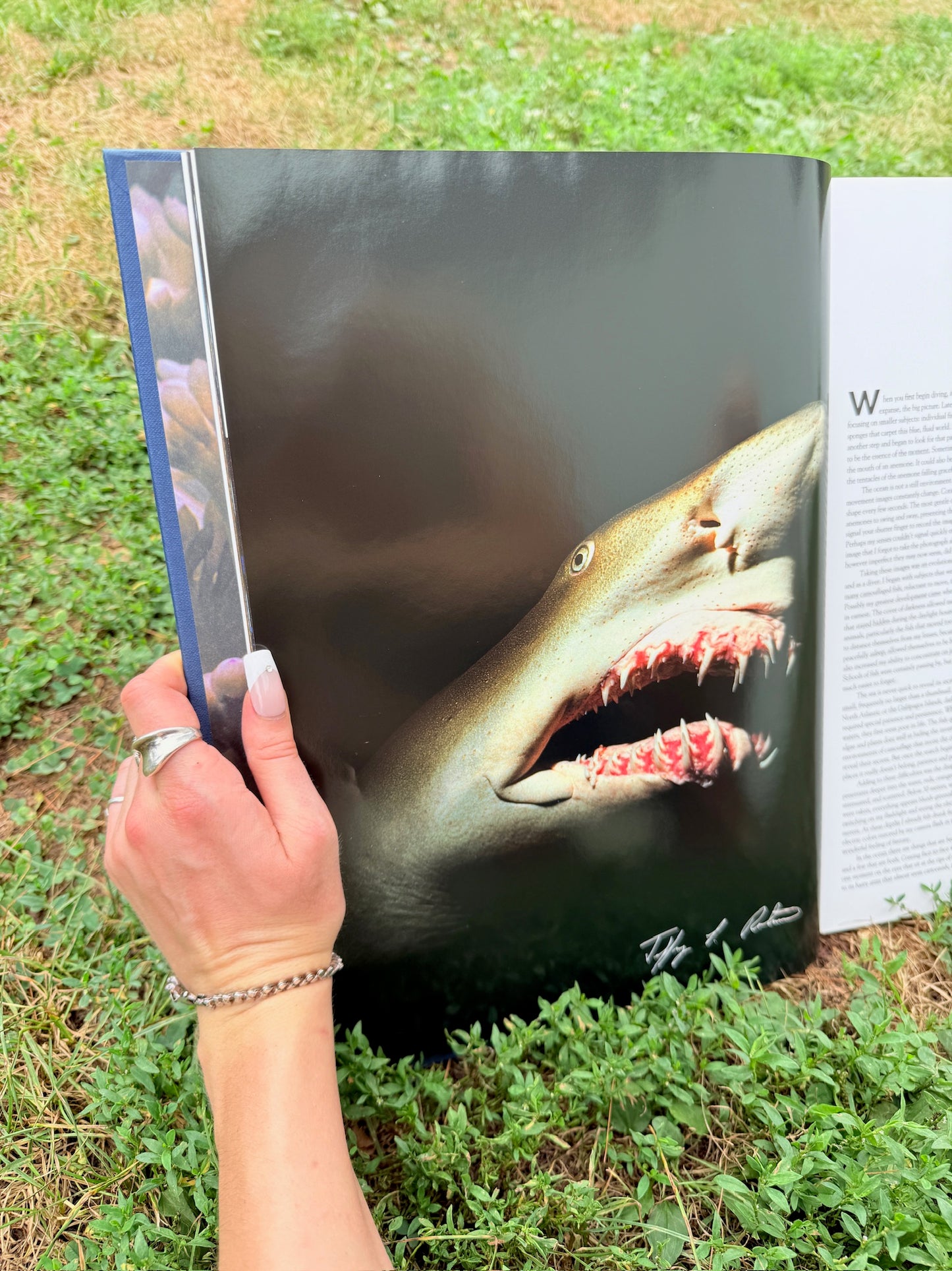 Colors of the Deep Photography Book