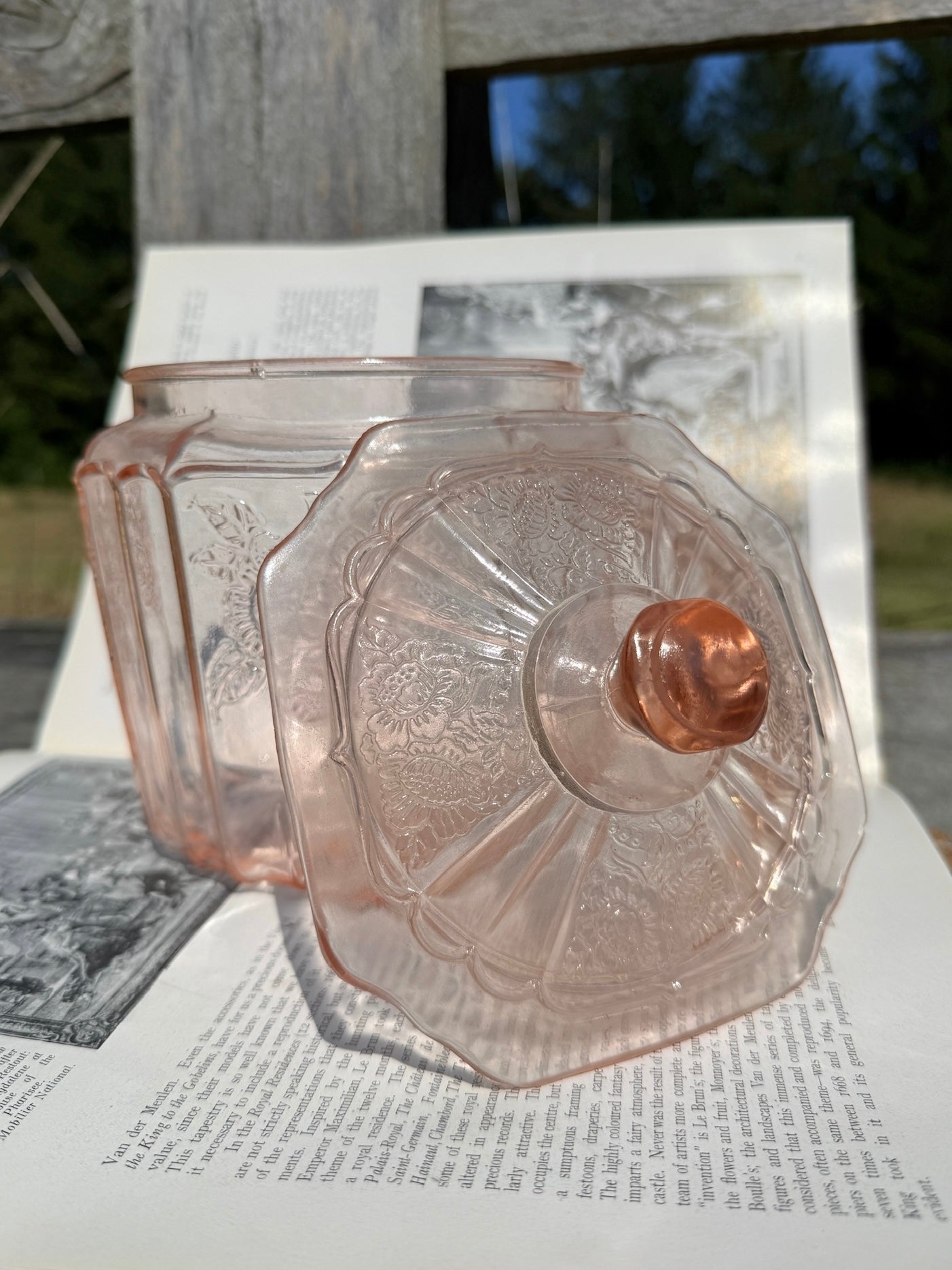Vintage 1930s Anchor Hocking Open Rose Pale Pink Depression Glass Canister