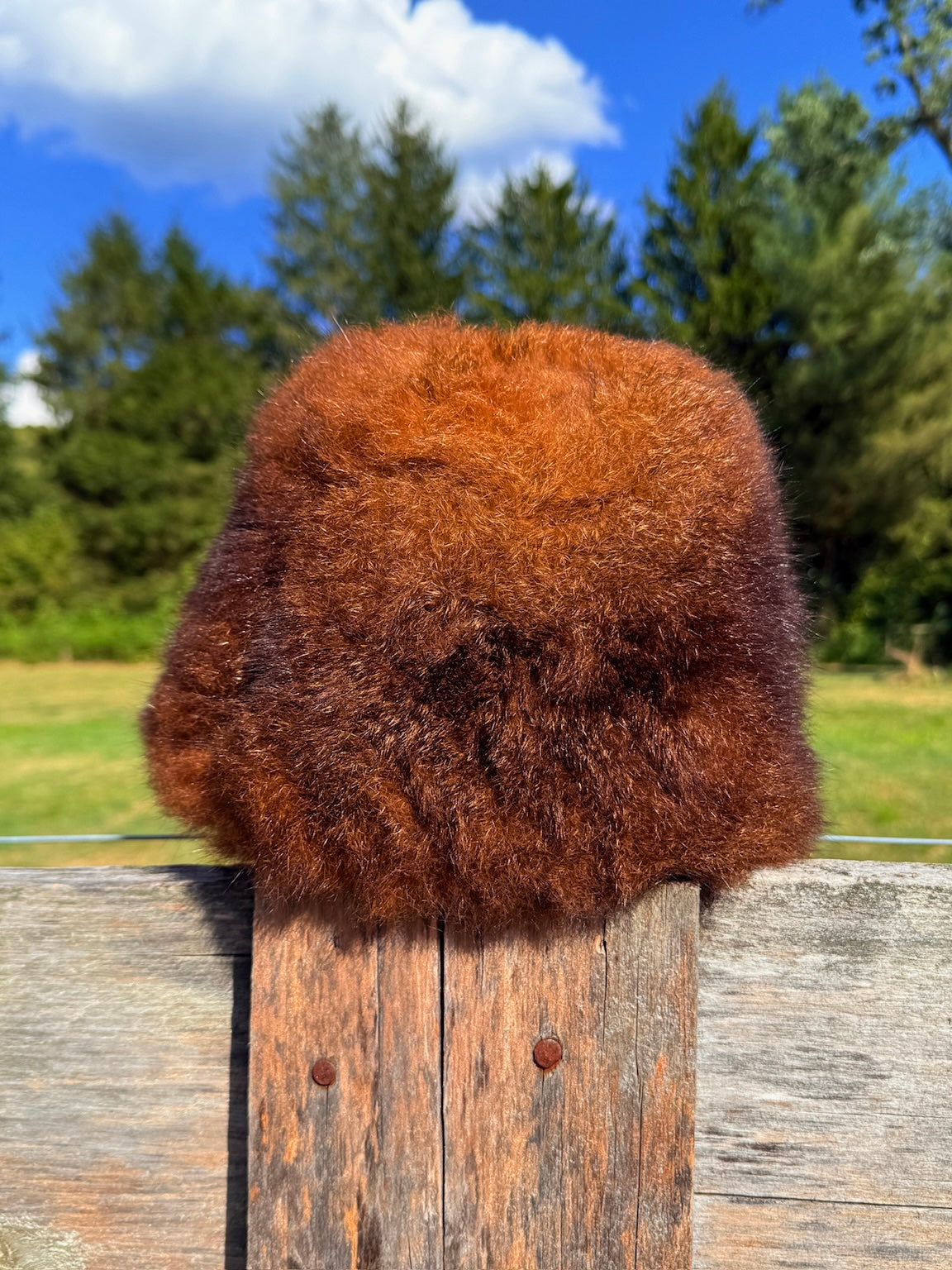 Vintage 1950s Vincent & Bill New York Montaldos Fur Hat
