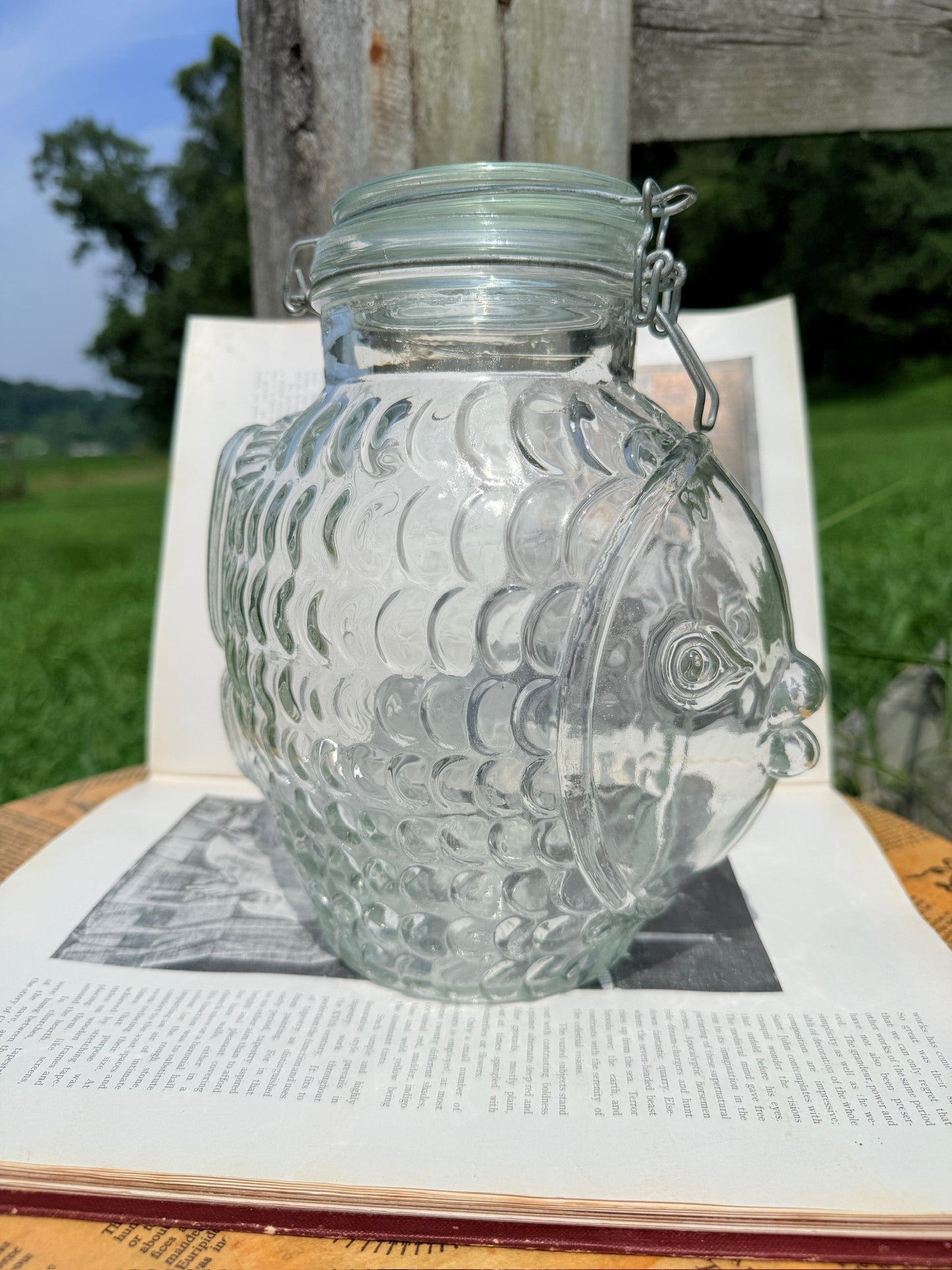 Vintage 1970s Fish Shaped Glass Canister