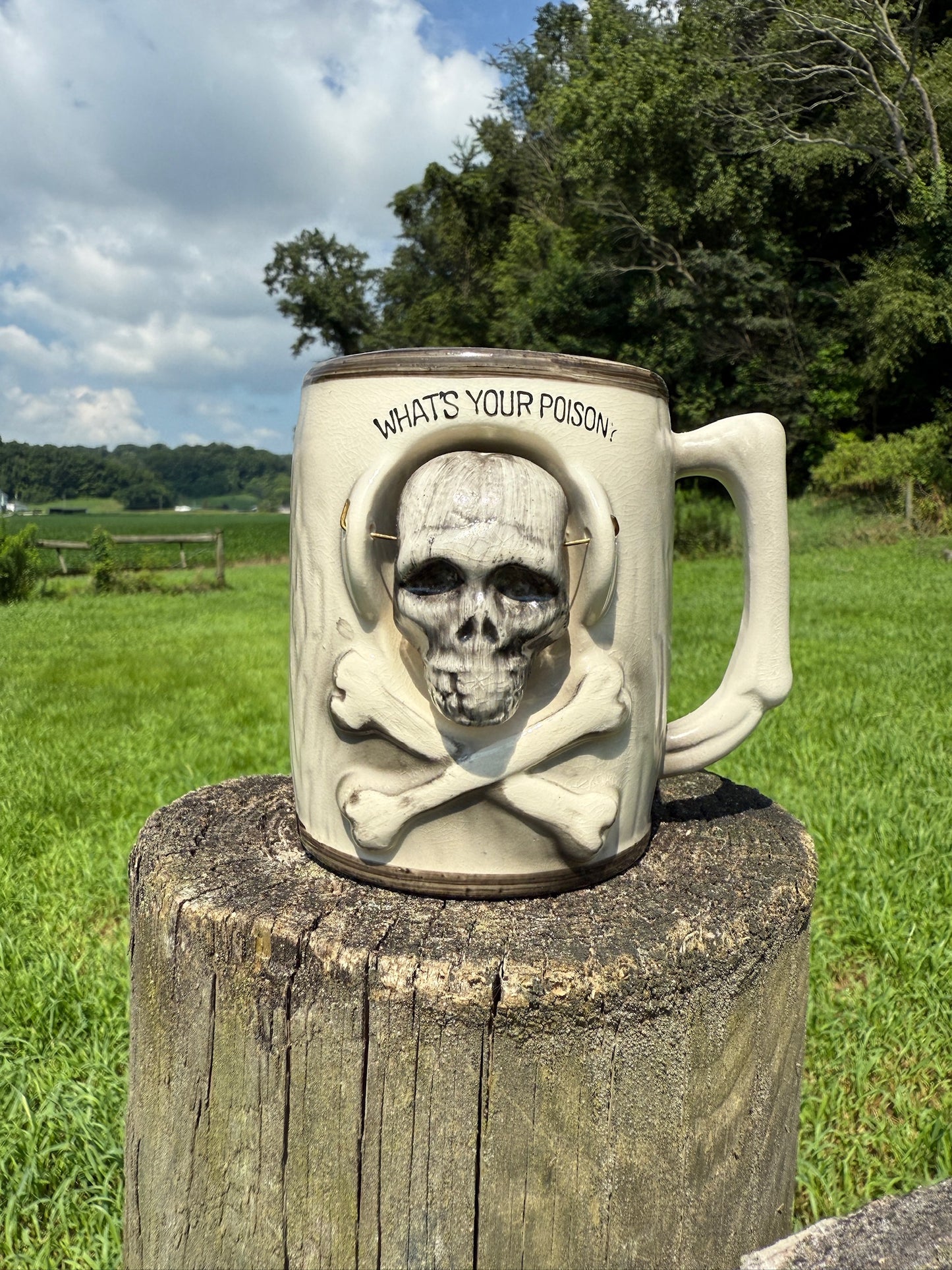 Vintage 1950s "What's Your Poison" Ceramic Mug