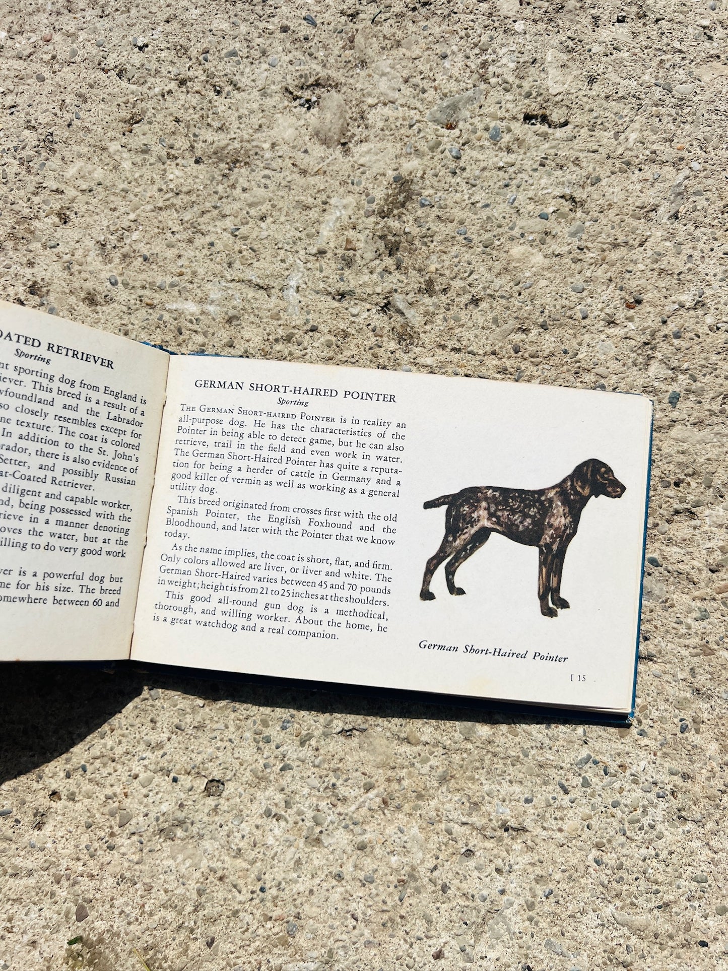 Vintage 1940s The Blue Book of Dogs