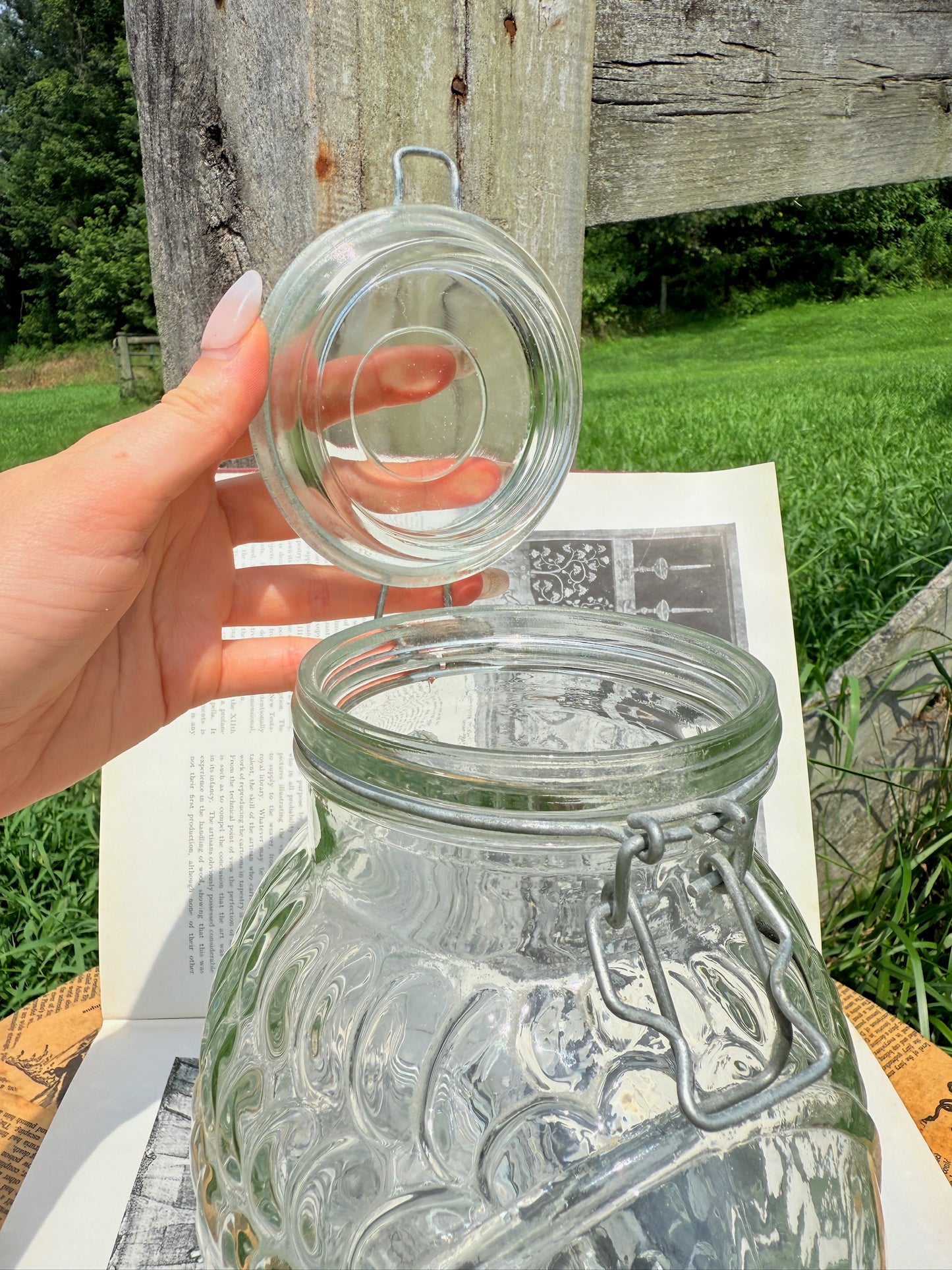 Vintage 1970s Fish Shaped Glass Canister