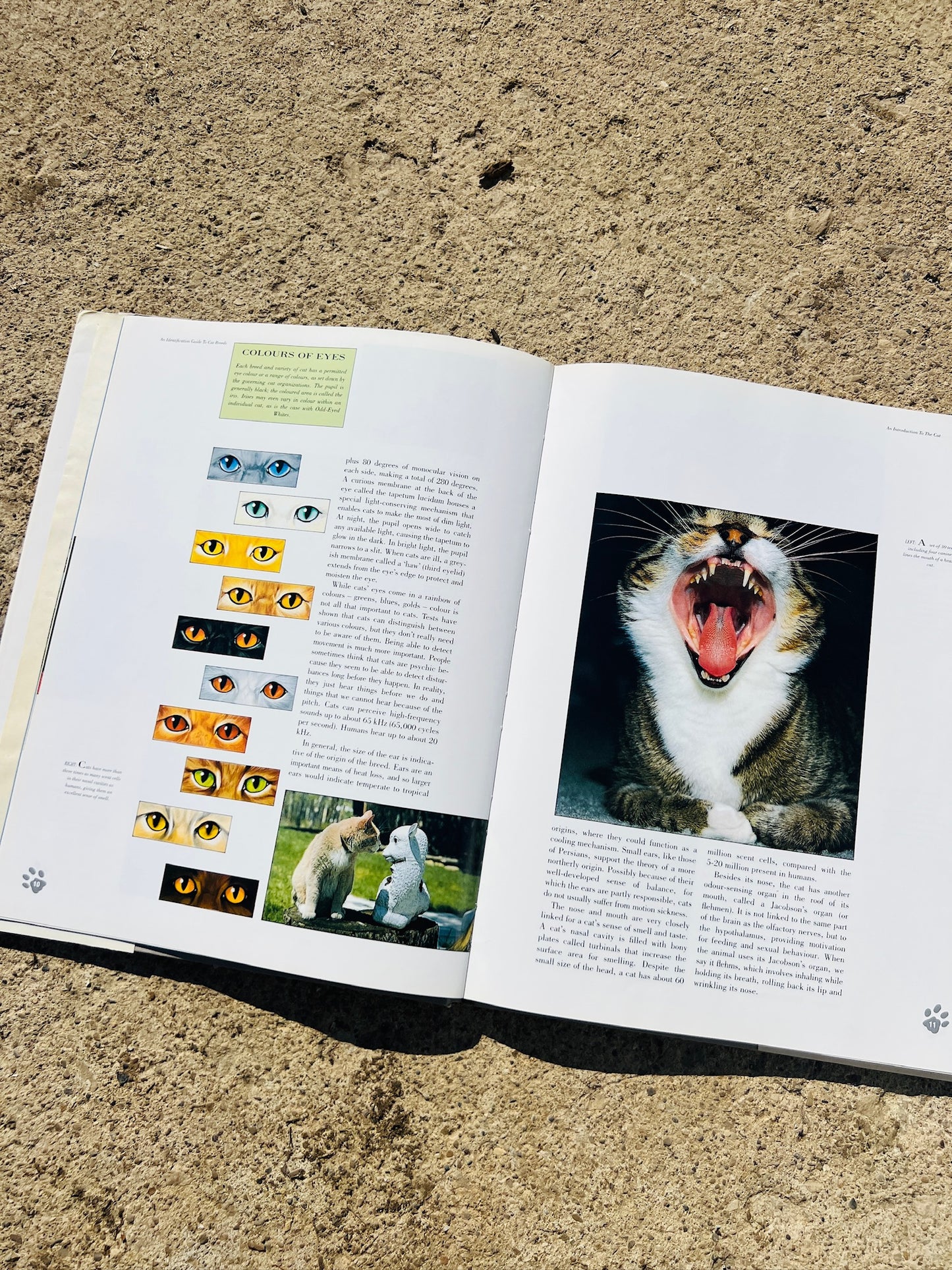 Vintage An Identification Guide to Cat Breeds Book