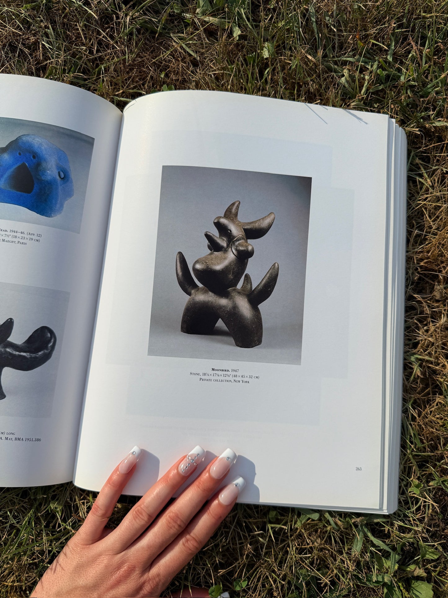 The Museum of Modern Art Joan Miró Exhibition Book