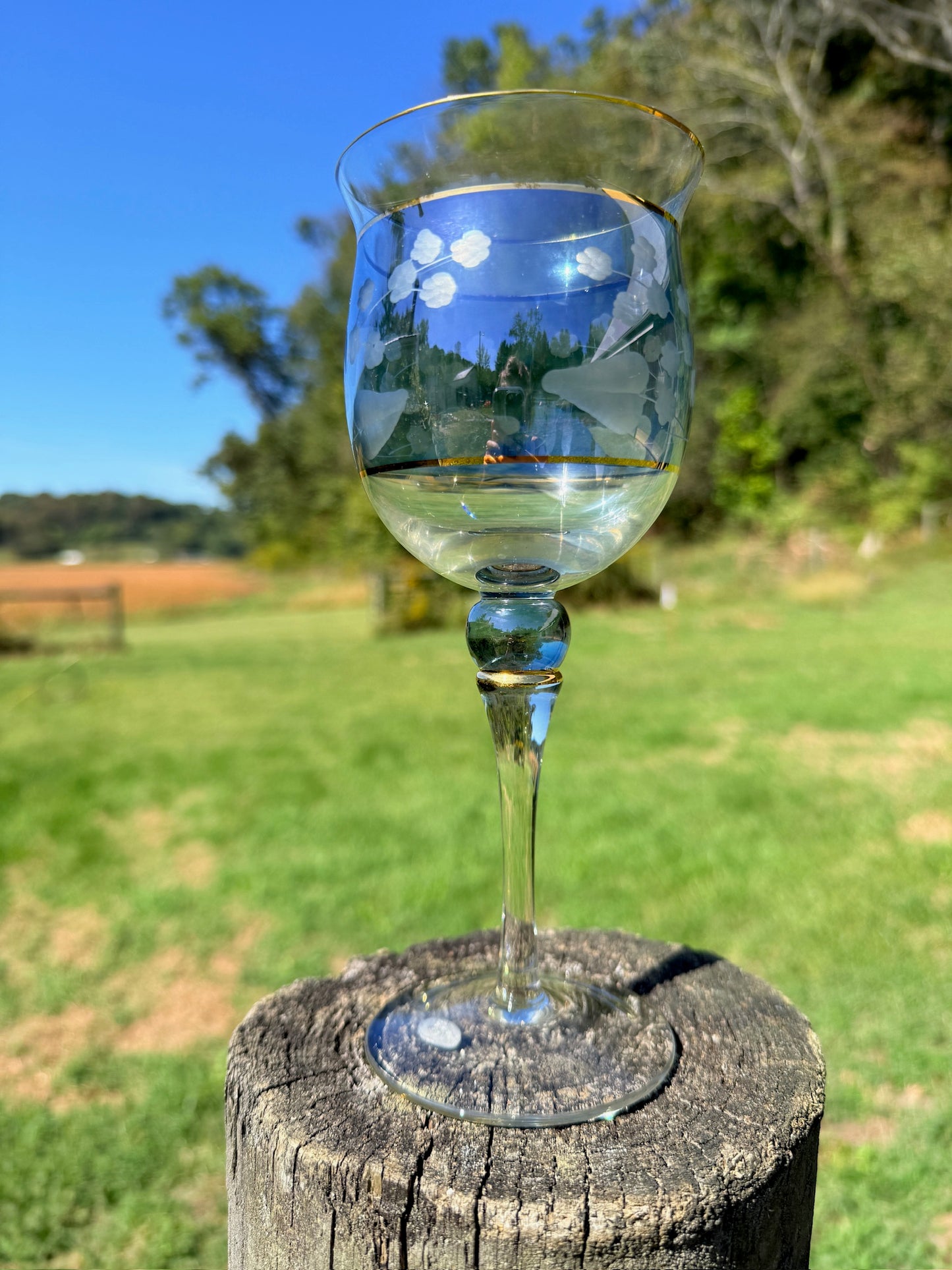 Vintage 1970s Crystal Clear Ind. Katherine Blue Floral Stemmed Goblet Wine Glasses | Set of 4