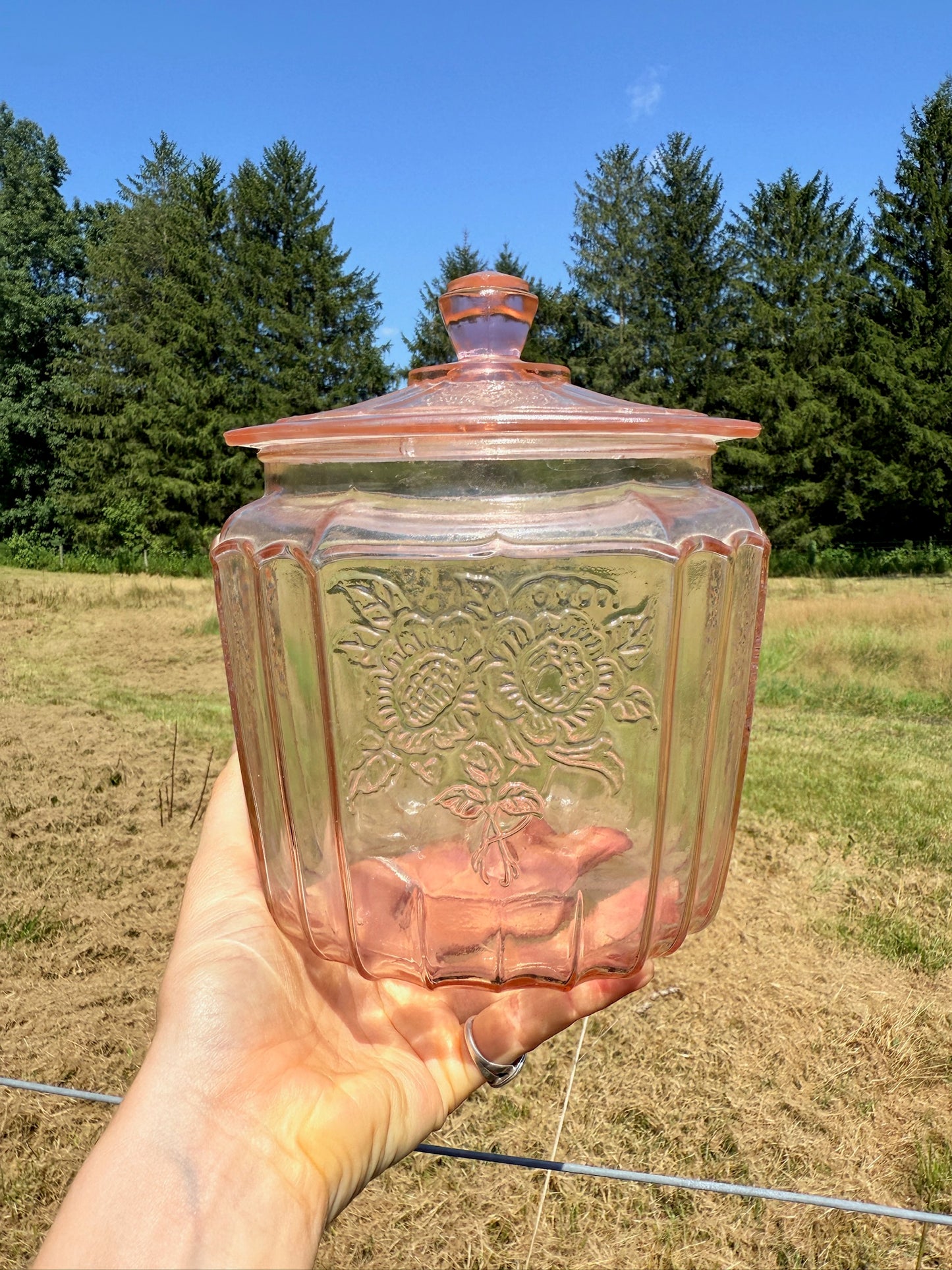 Vintage 1930s Anchor Hocking Open Rose Pale Pink Depression Glass Canister