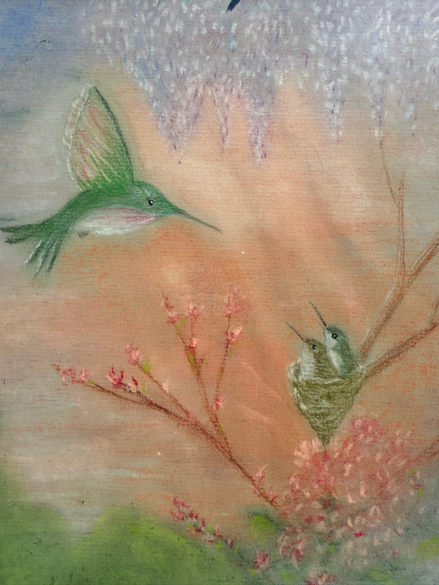 Vintage 1950s Framed Hummingbird + Nest Drawing Artwork