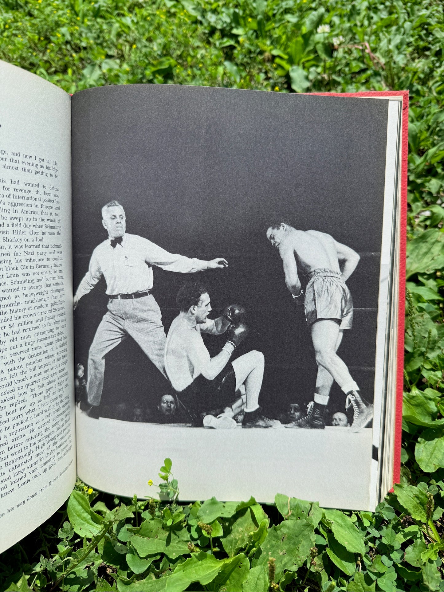 Vintage The Sports Immortals Hardcover Book