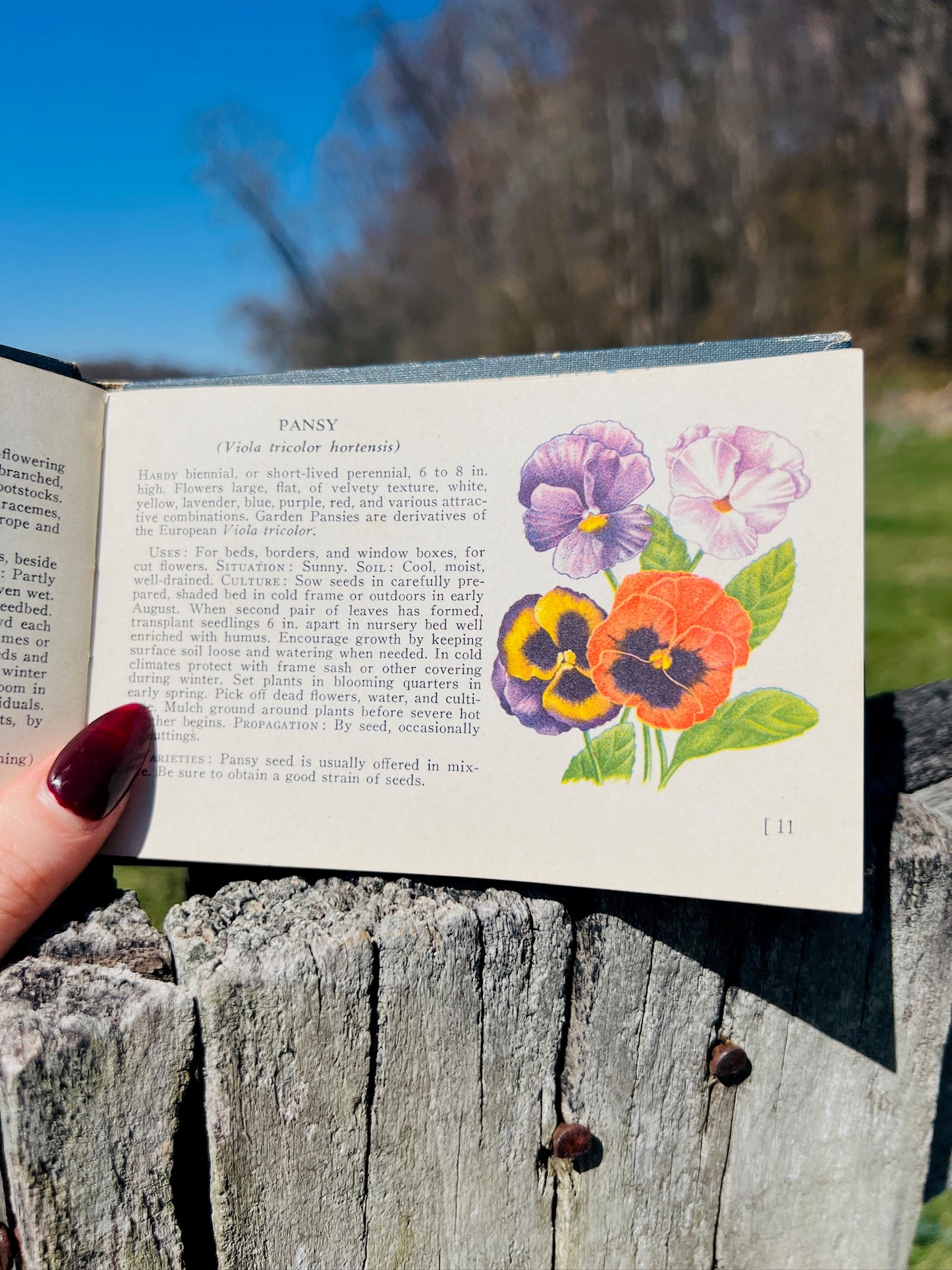 Vintage 1940s A Guide to Garden Flowers Book