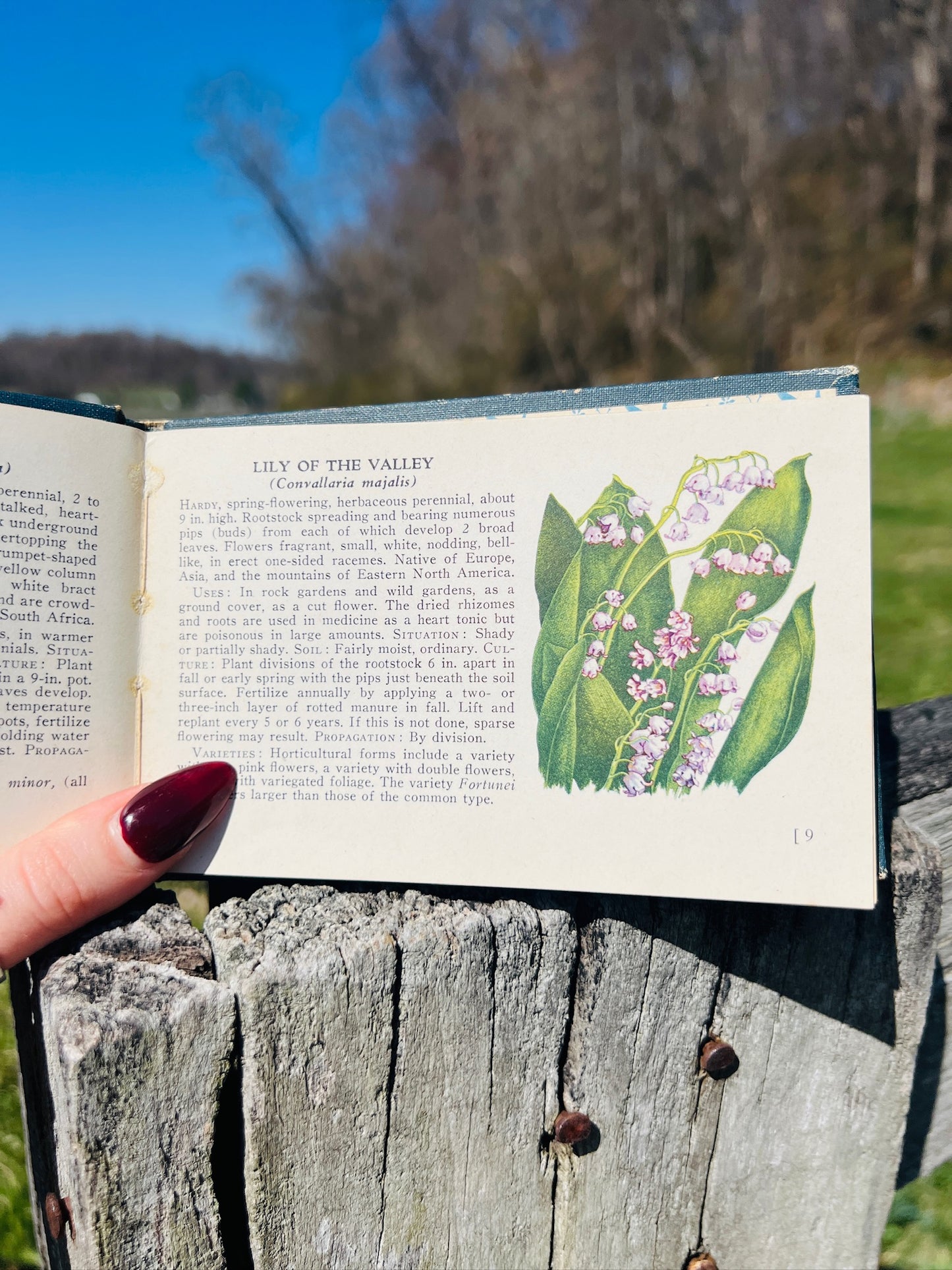 Vintage 1940s A Guide to Garden Flowers Book
