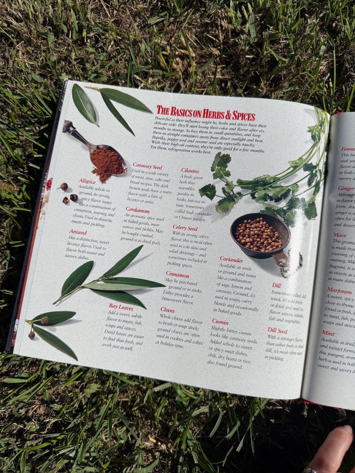 The Marlboro Country Cookbook