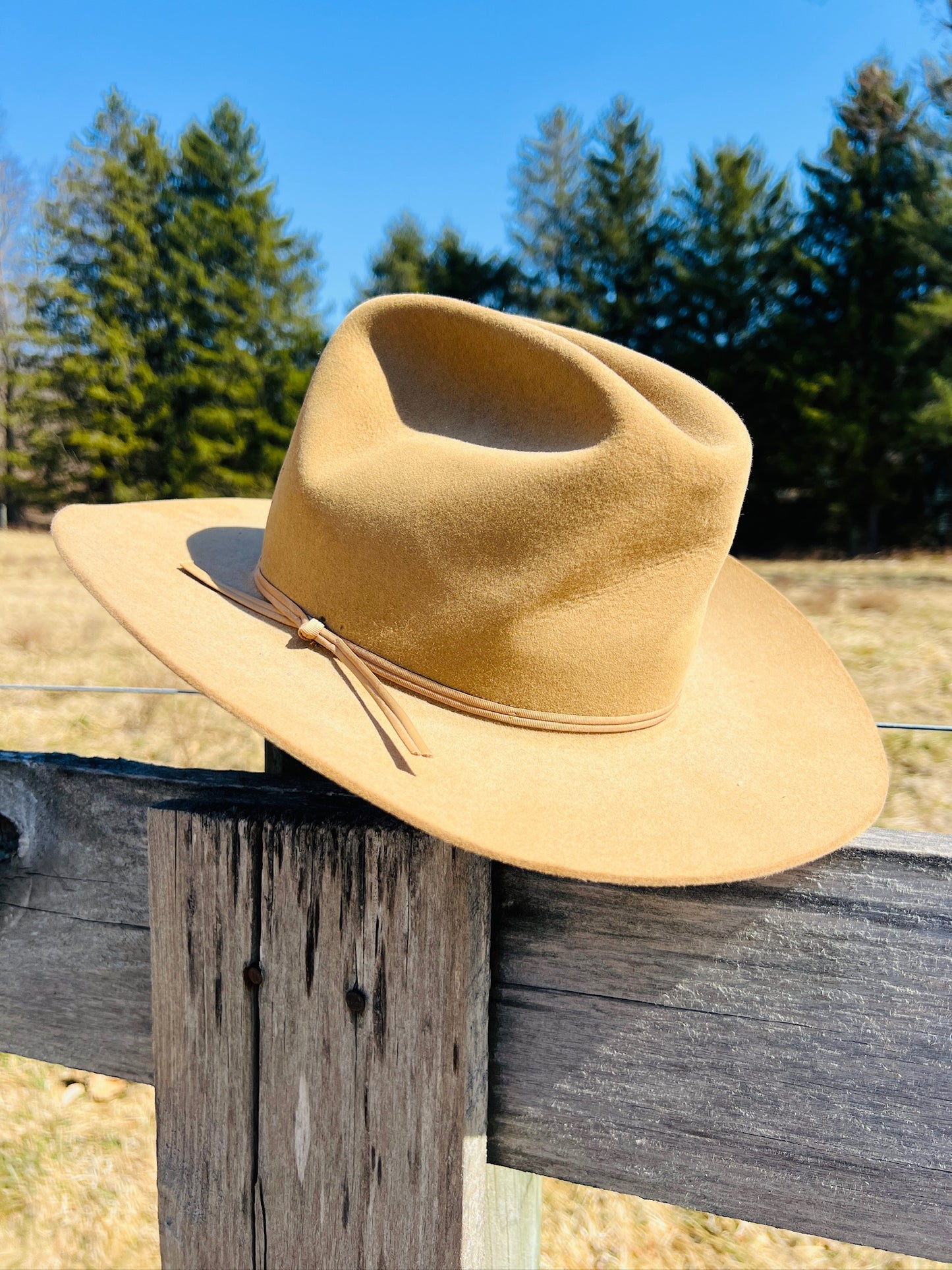 Vintage 1970s The Westerner Tan Cowboy Hat