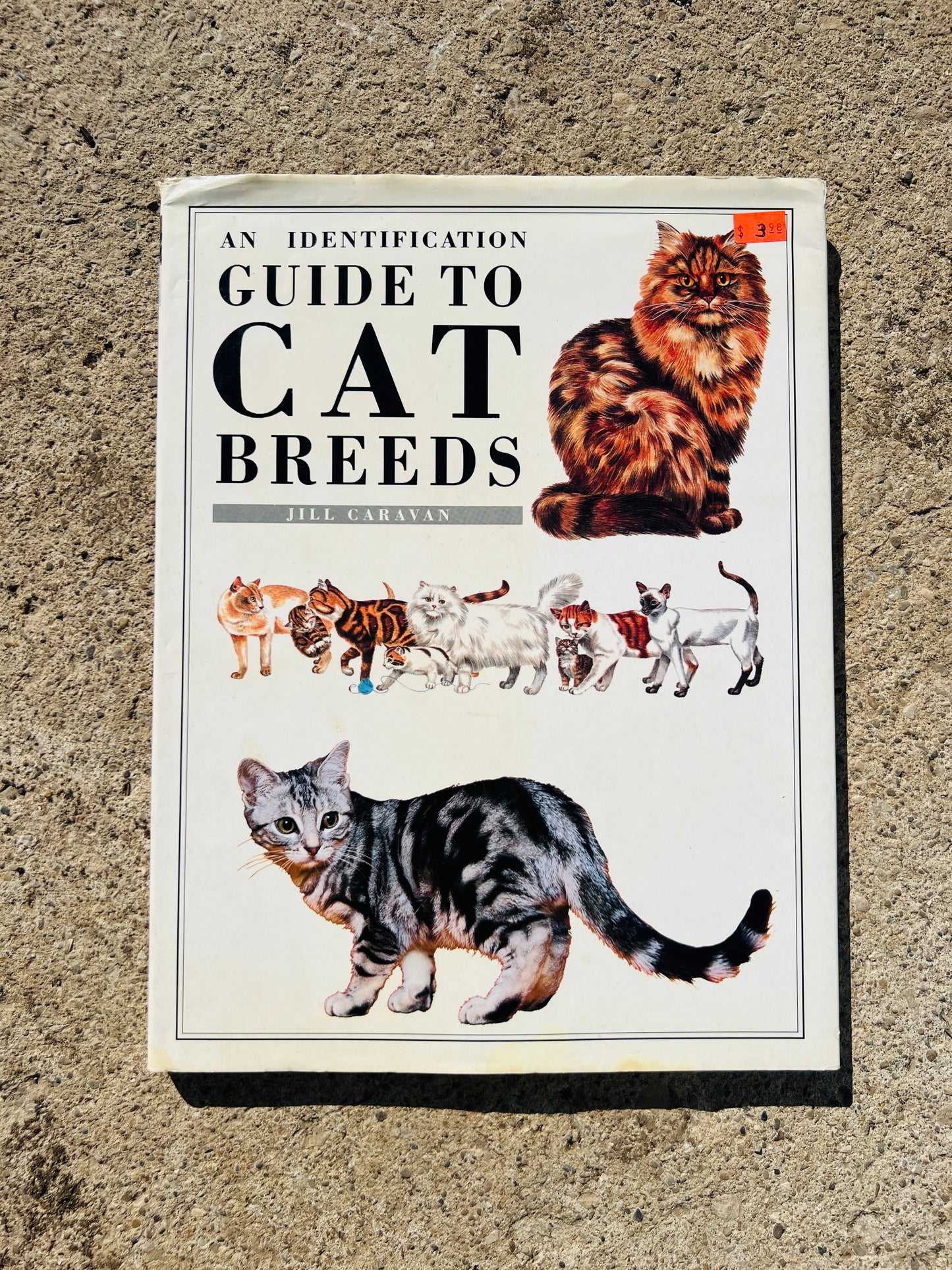 Vintage An Identification Guide to Cat Breeds Book