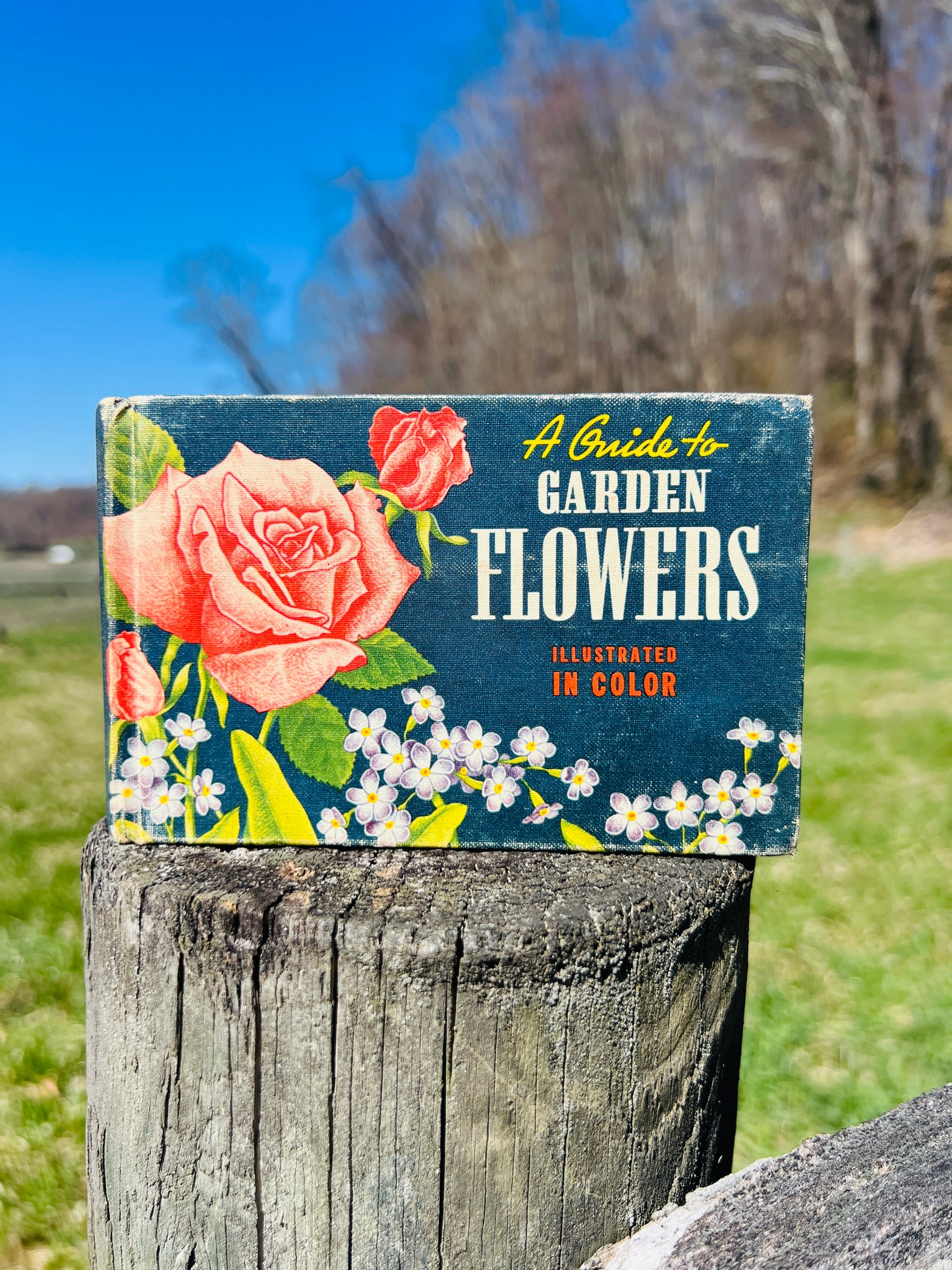 Vintage 1940s A Guide to Garden Flowers Book