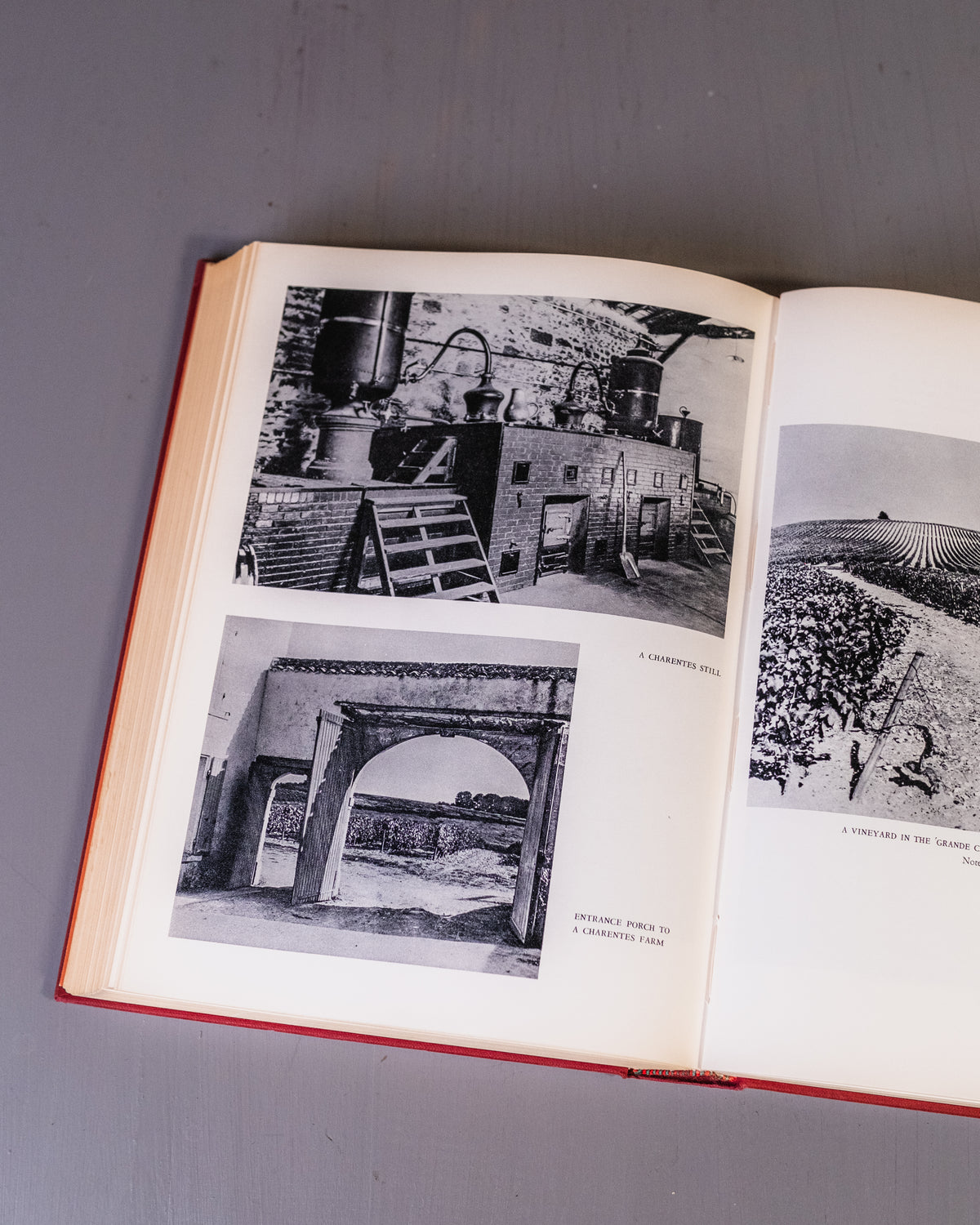 The Wine & Vineyards Of France Book